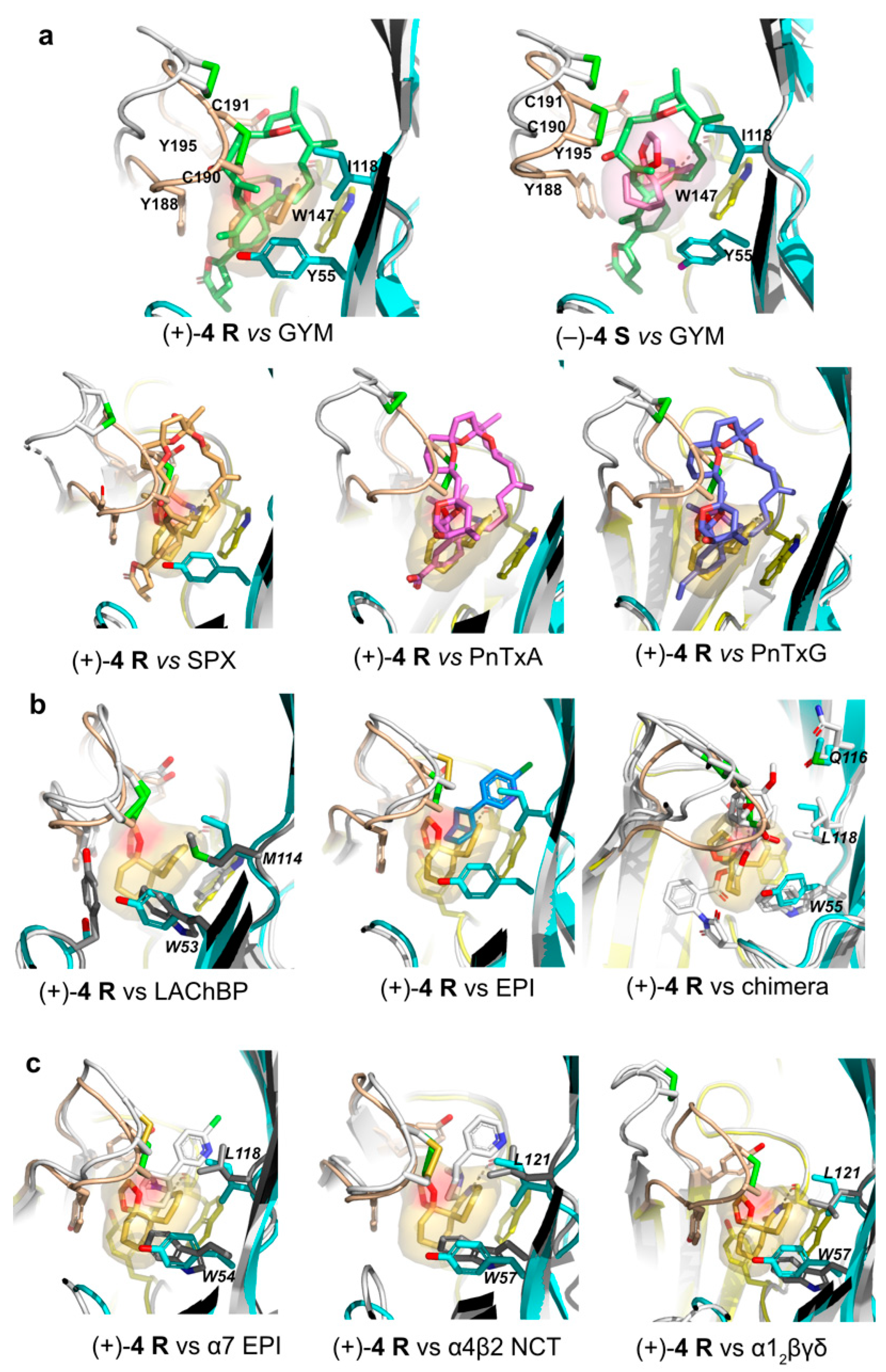 Marinedrugs 22 00149 g006