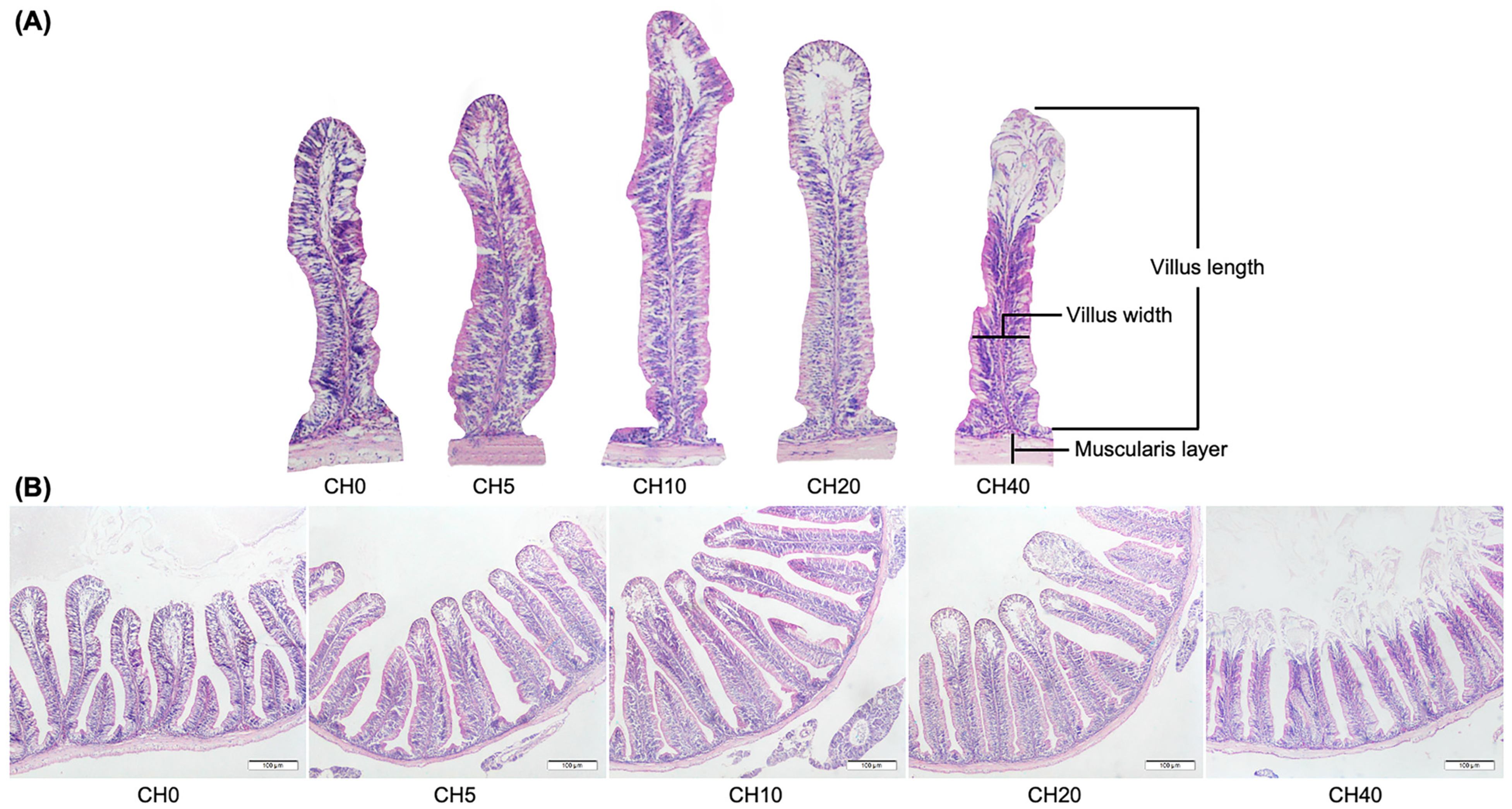 Marinedrugs 22 00150 g001