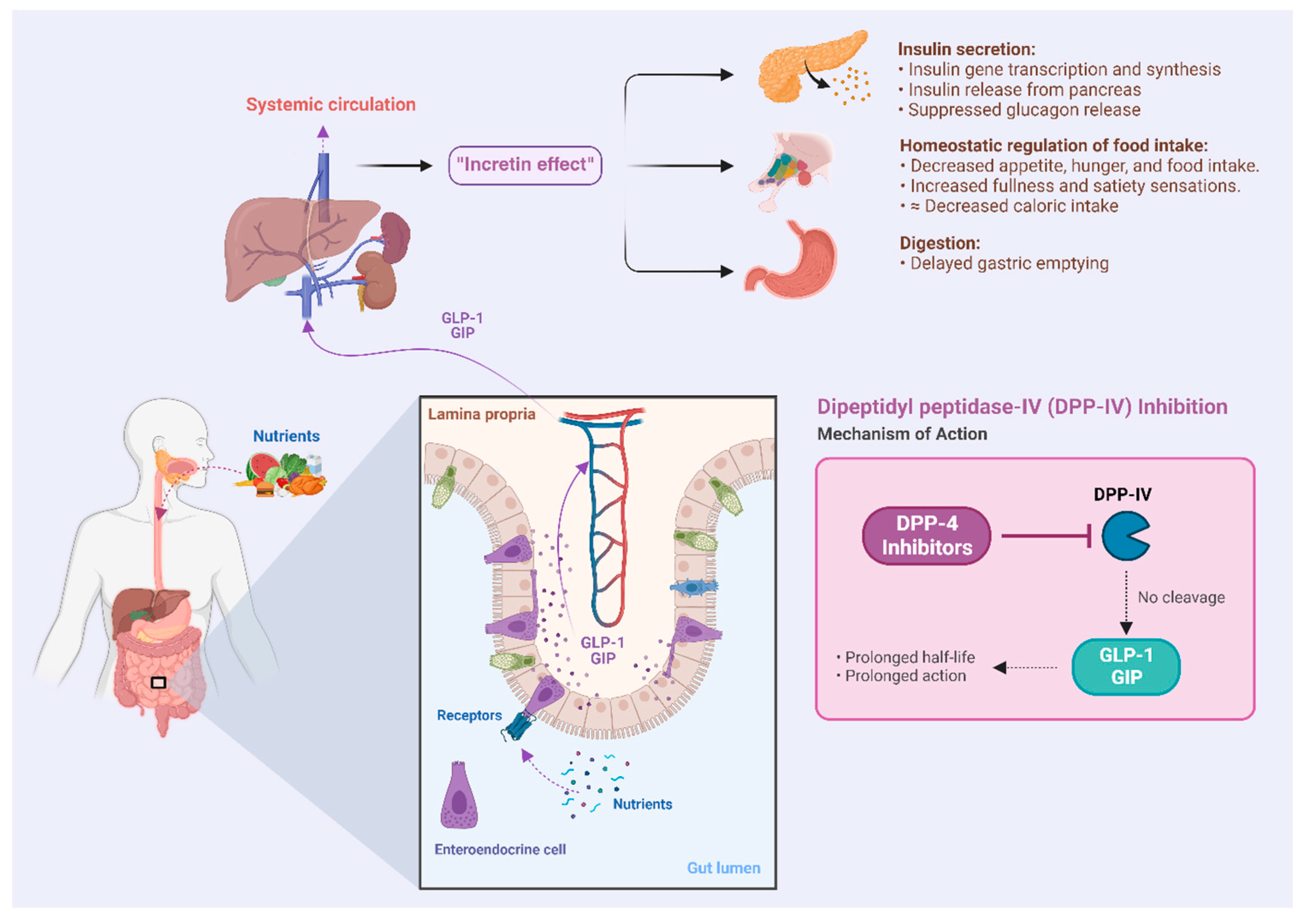 Marinedrugs 22 00151 g001