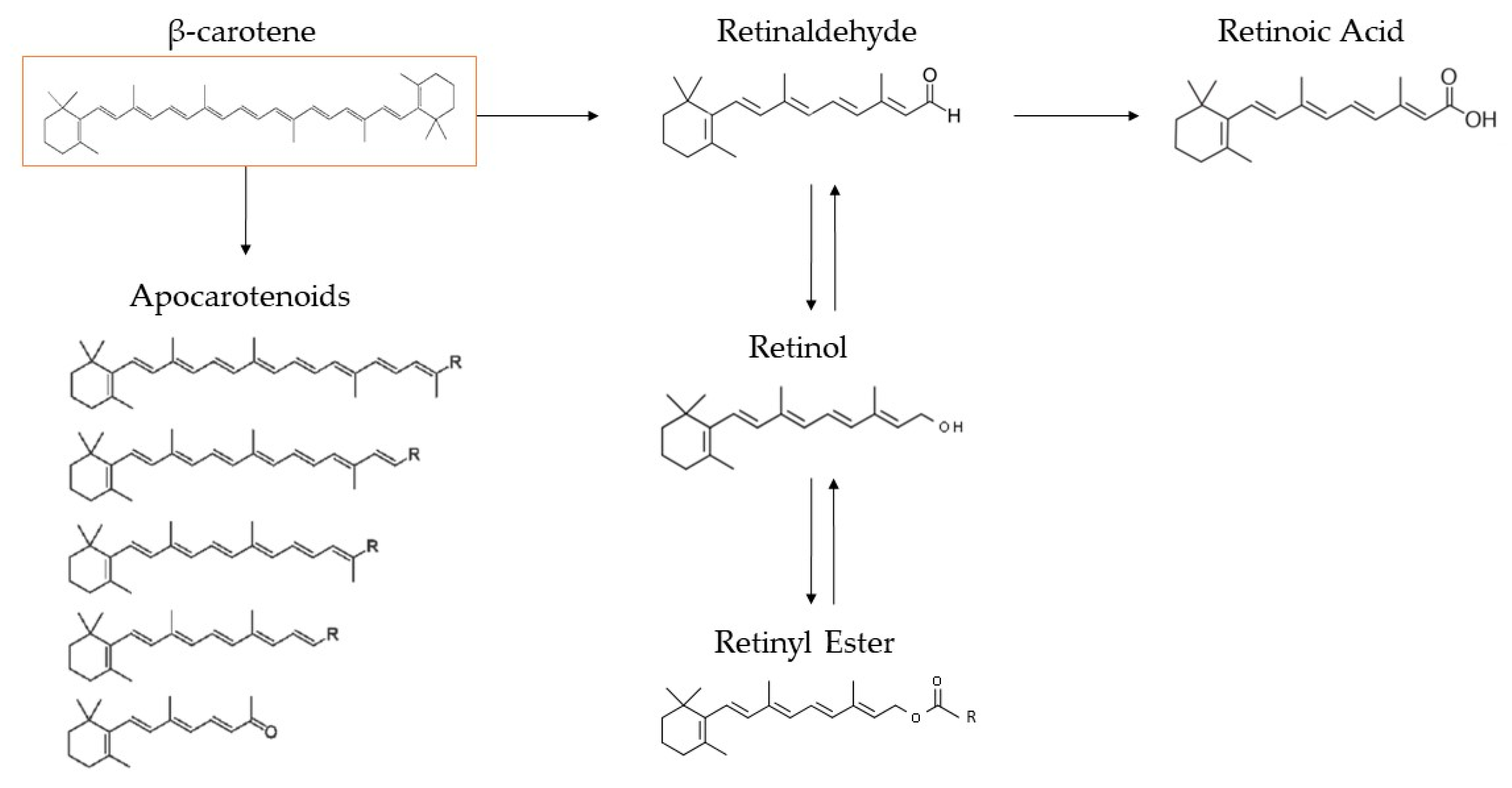 Marinedrugs 22 00152 g005