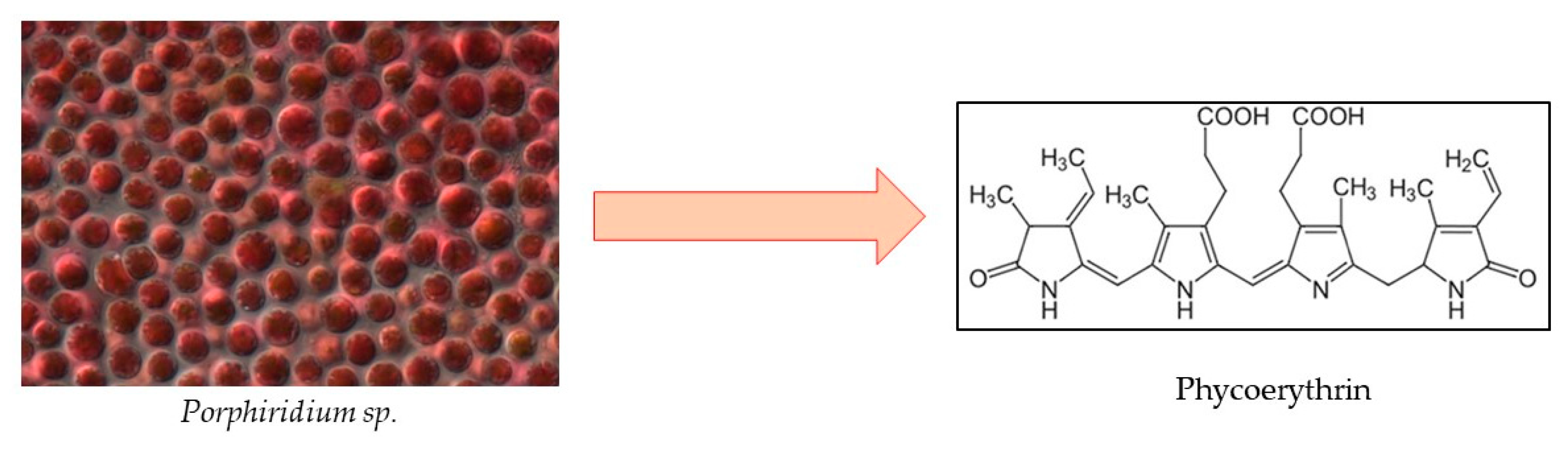 Marinedrugs 22 00152 g008