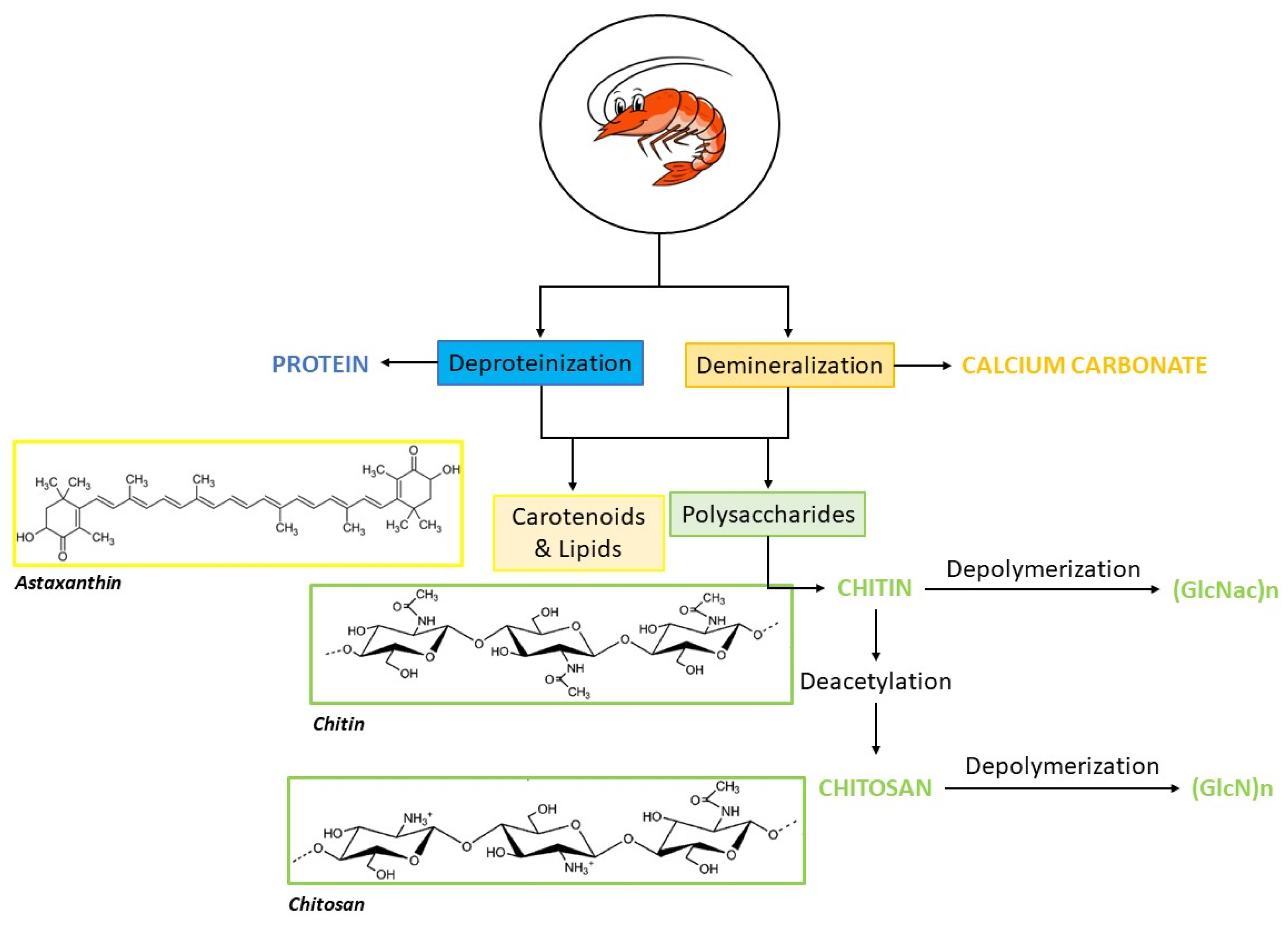 Marinedrugs 22 00153 g001