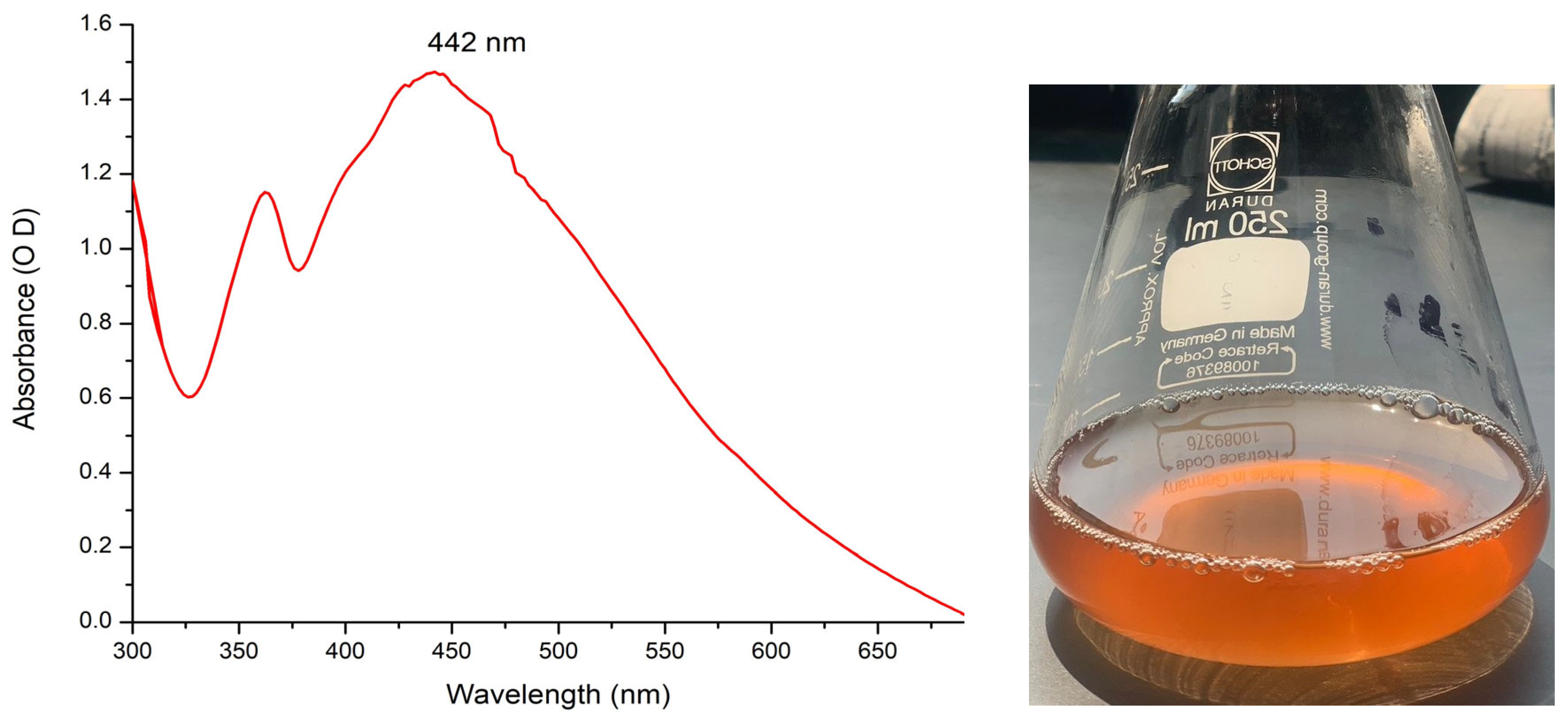 Marinedrugs 22 00154 g001