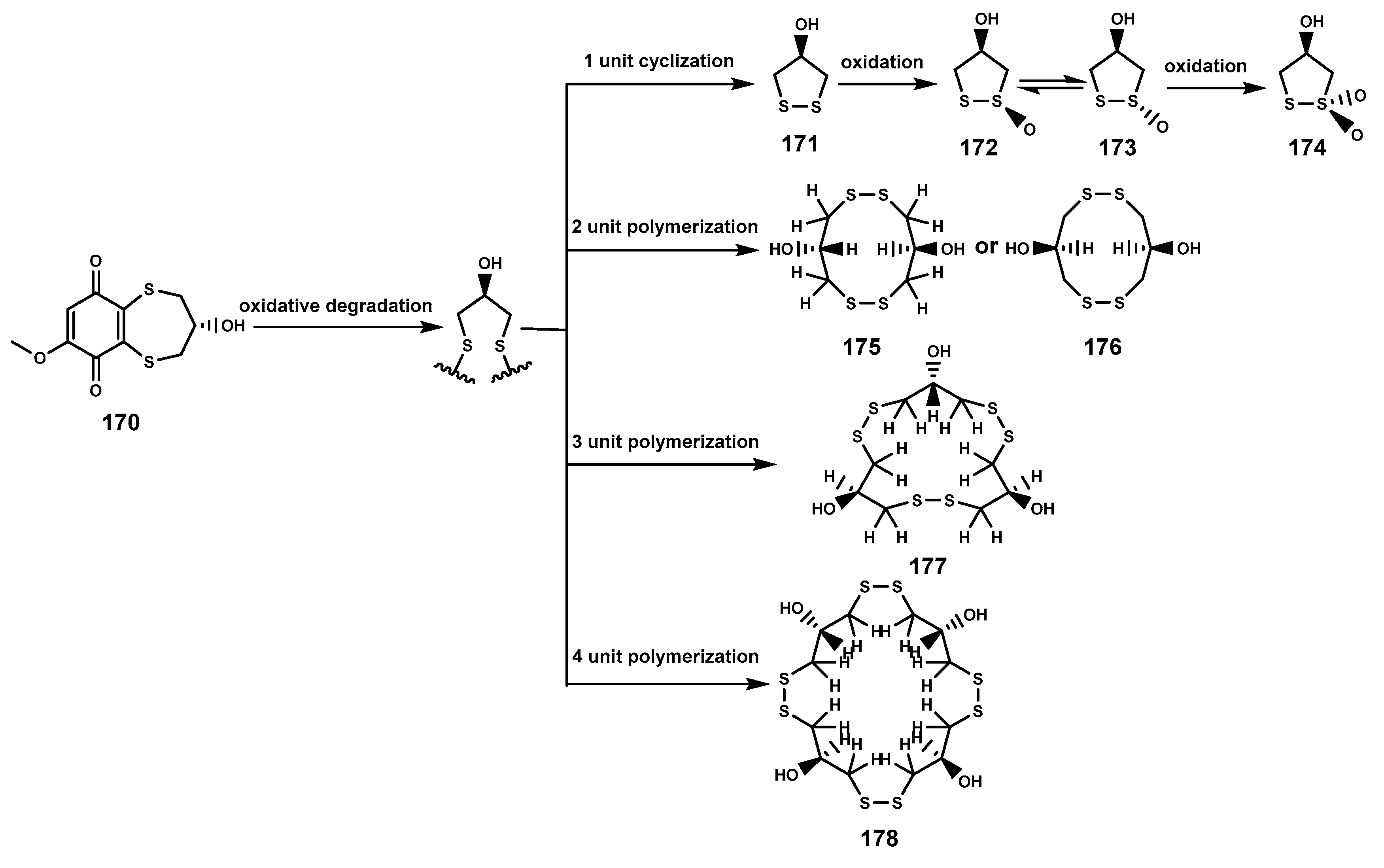 Marinedrugs 22 00158 g008