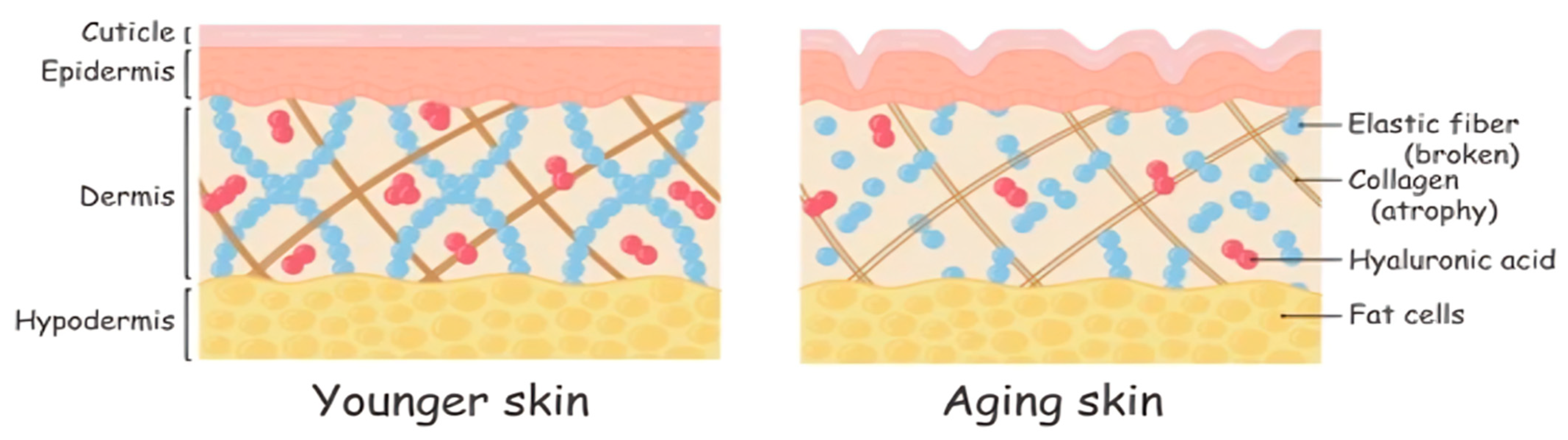 Marinedrugs 22 00159 g001