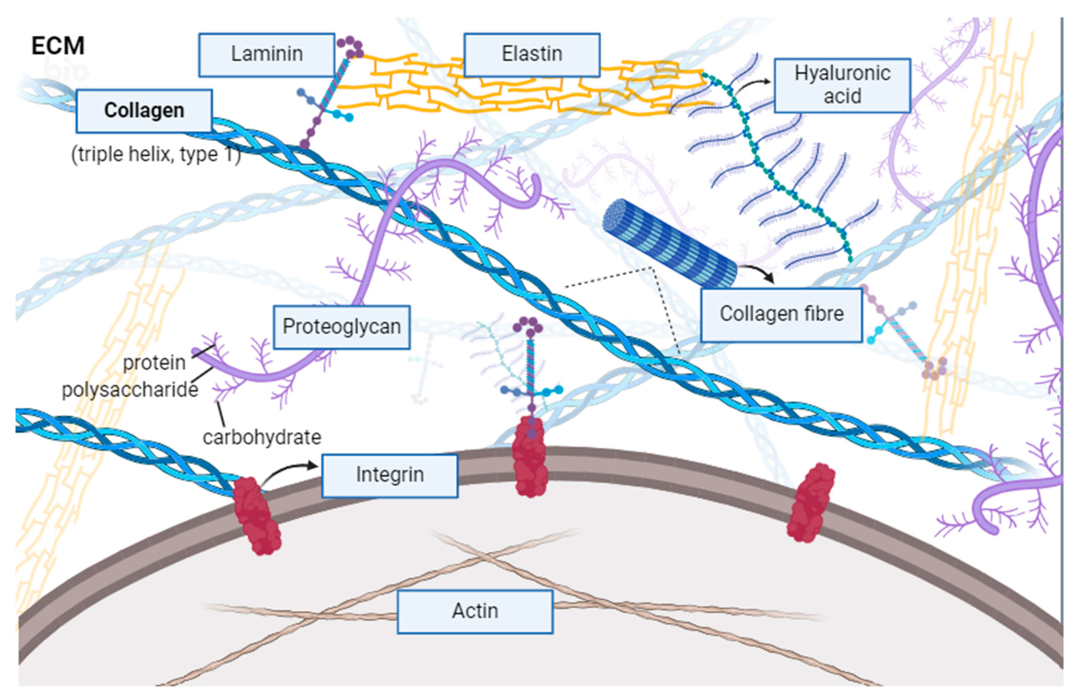 Marinedrugs 22 00159 g005