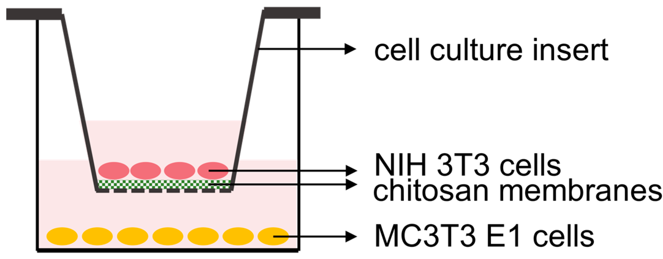 Marinedrugs 22 00160 g005