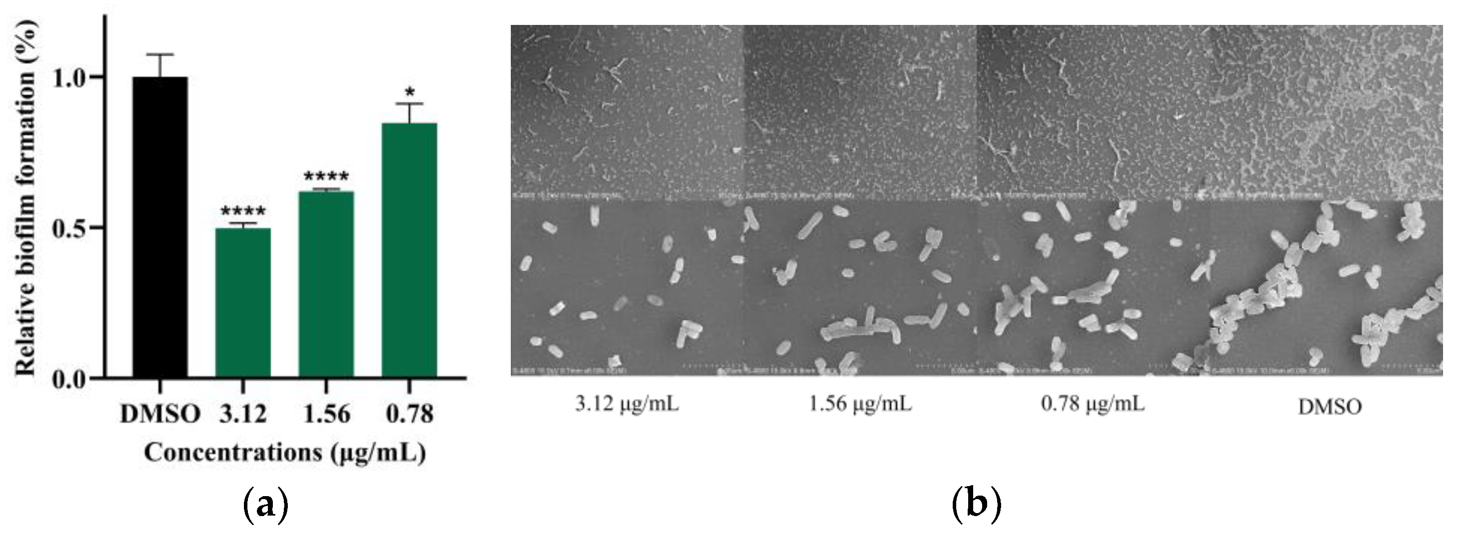 Marinedrugs 22 00161 g004