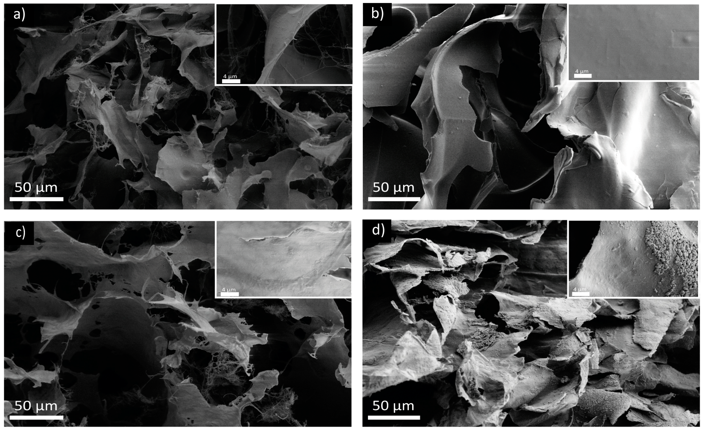 Marinedrugs 22 00164 g009