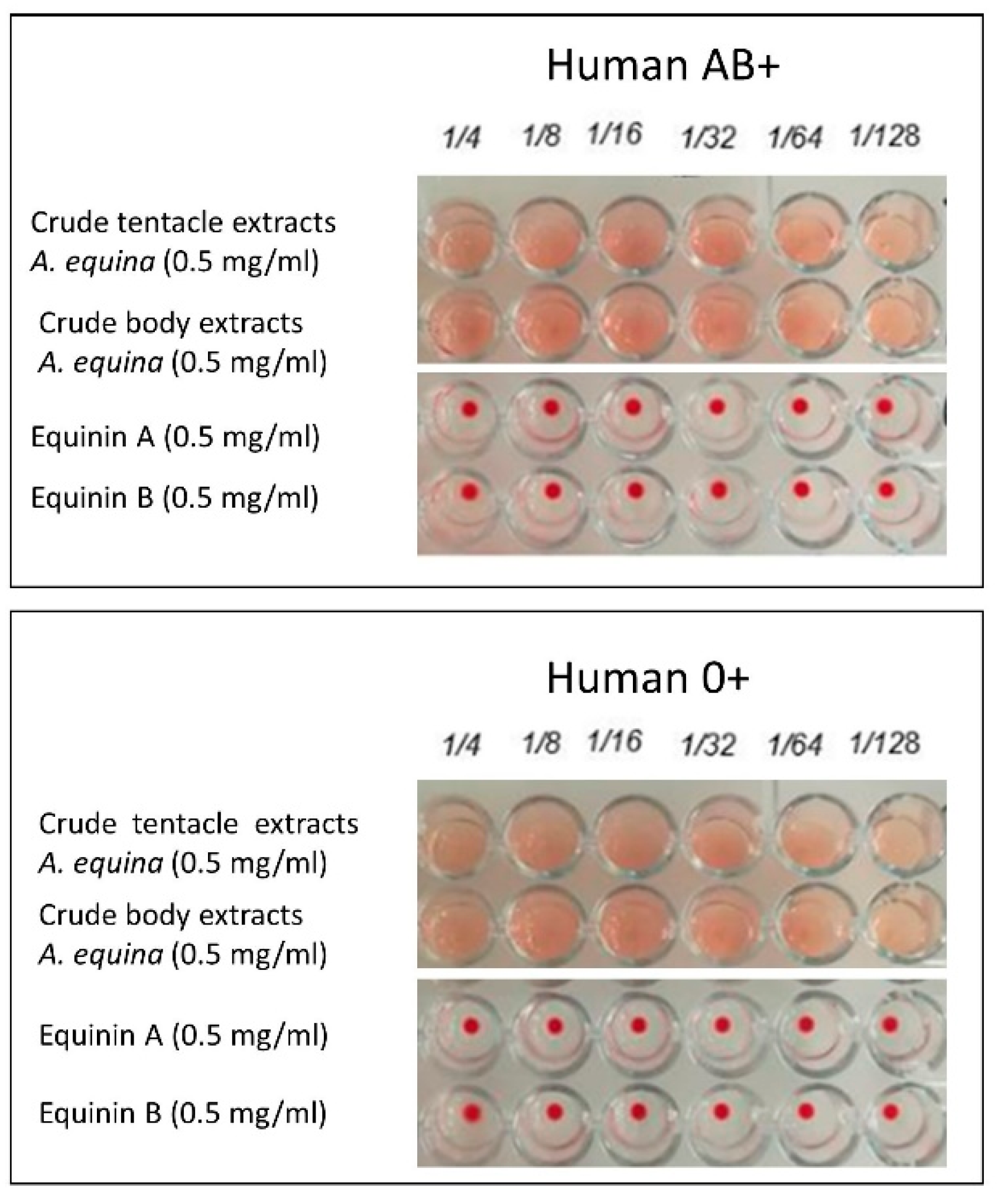 Marinedrugs 22 00172 g006