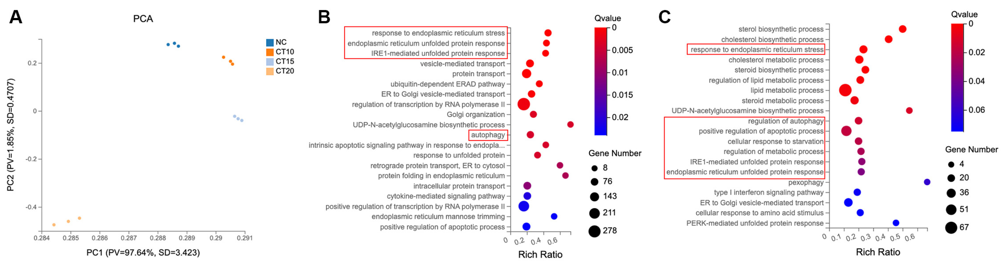 Marinedrugs 22 00174 g002 Marinedrugs 22 00174 g002