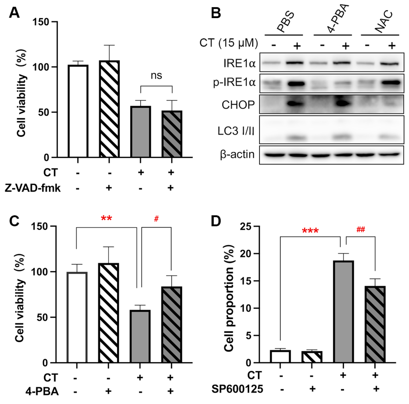 Marinedrugs 22 00174 g003 Marinedrugs 22 00174 g003