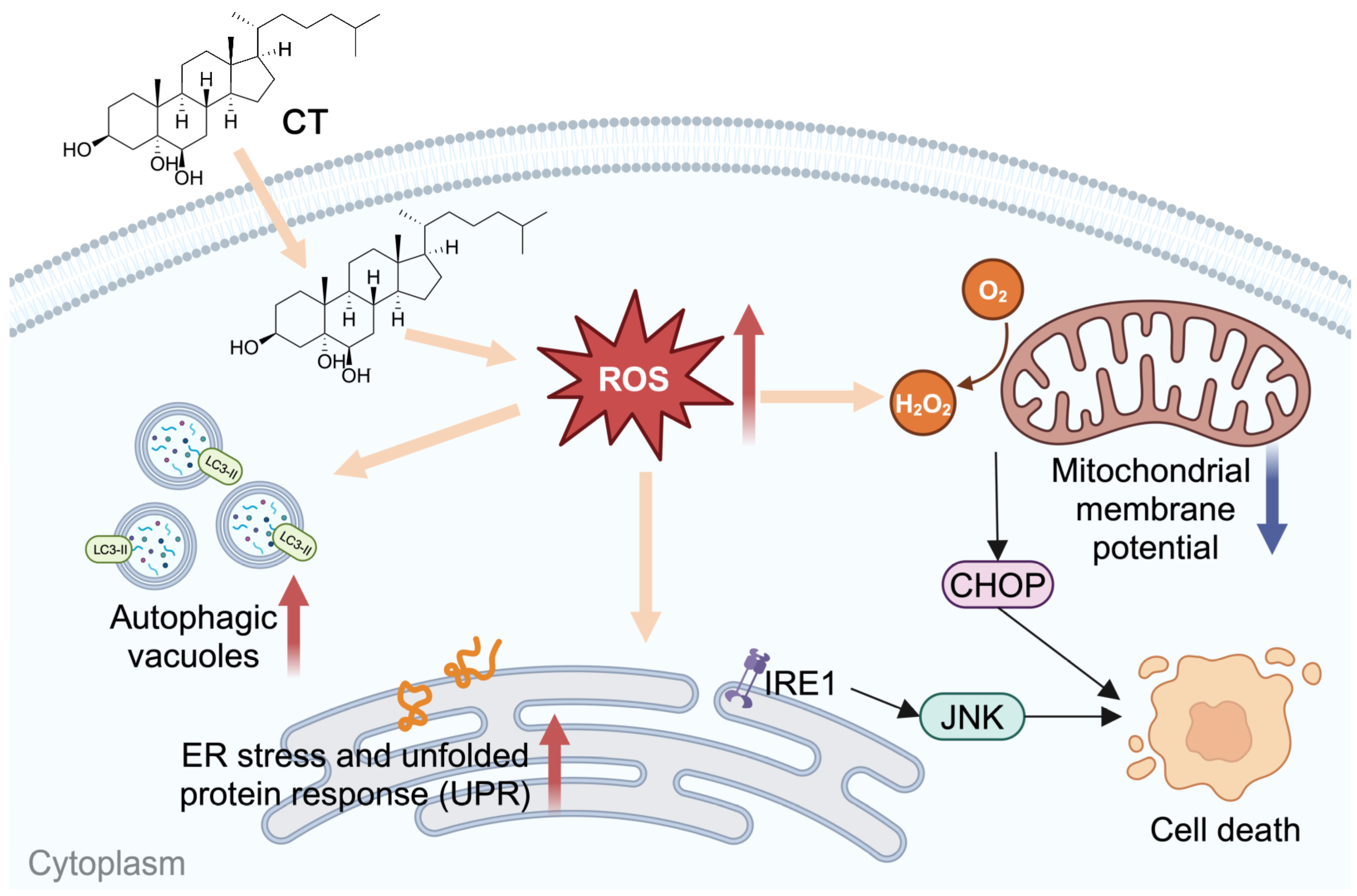 Marinedrugs 22 00174 g006 Marinedrugs 22 00174 g006