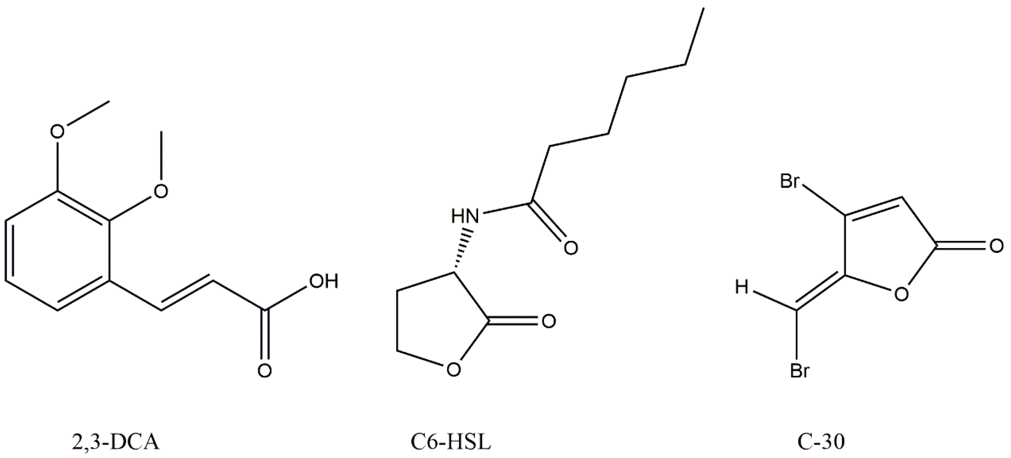 Research and Publications » Dominguez Lab | Boston University