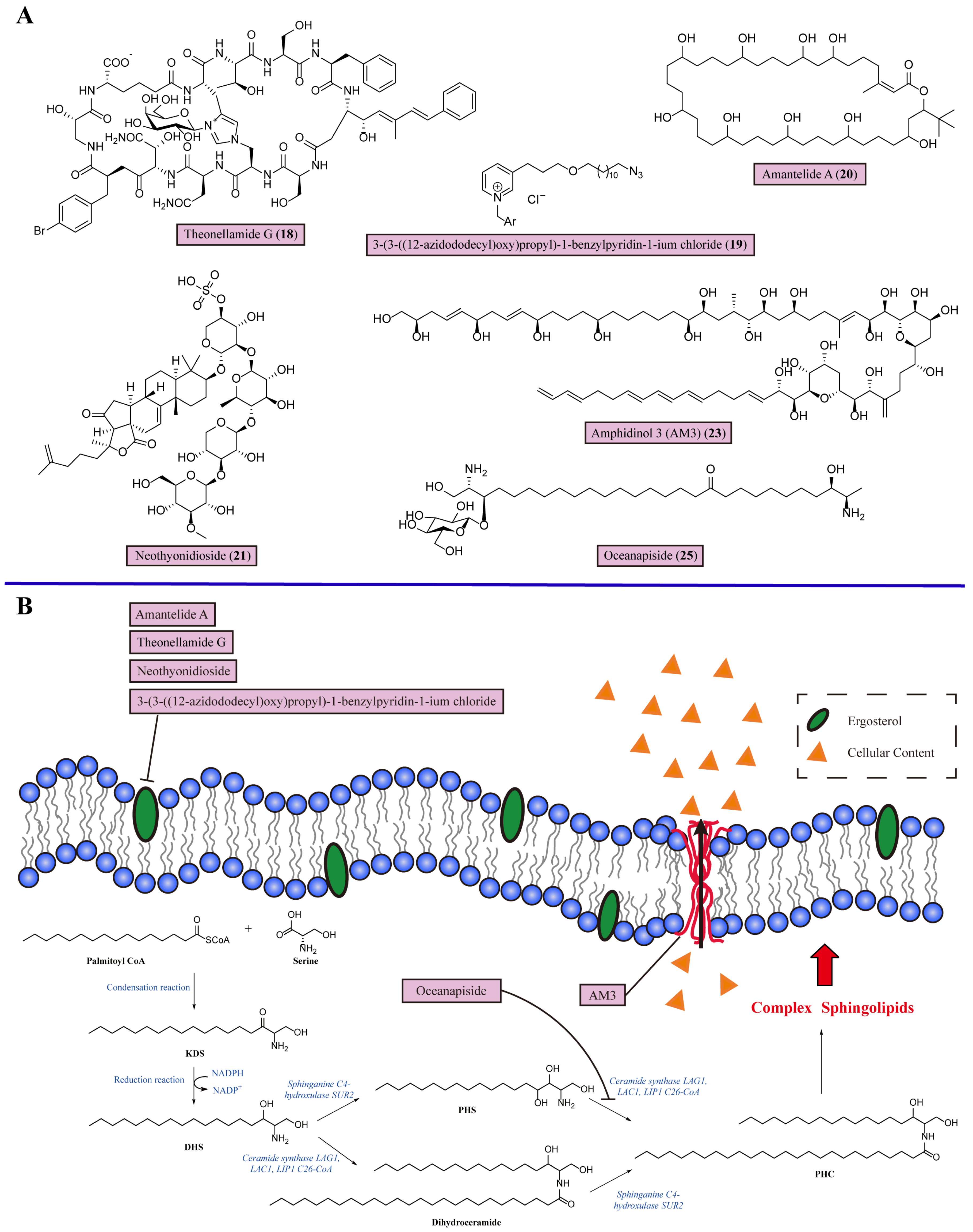 Marinedrugs 22 00180 g002