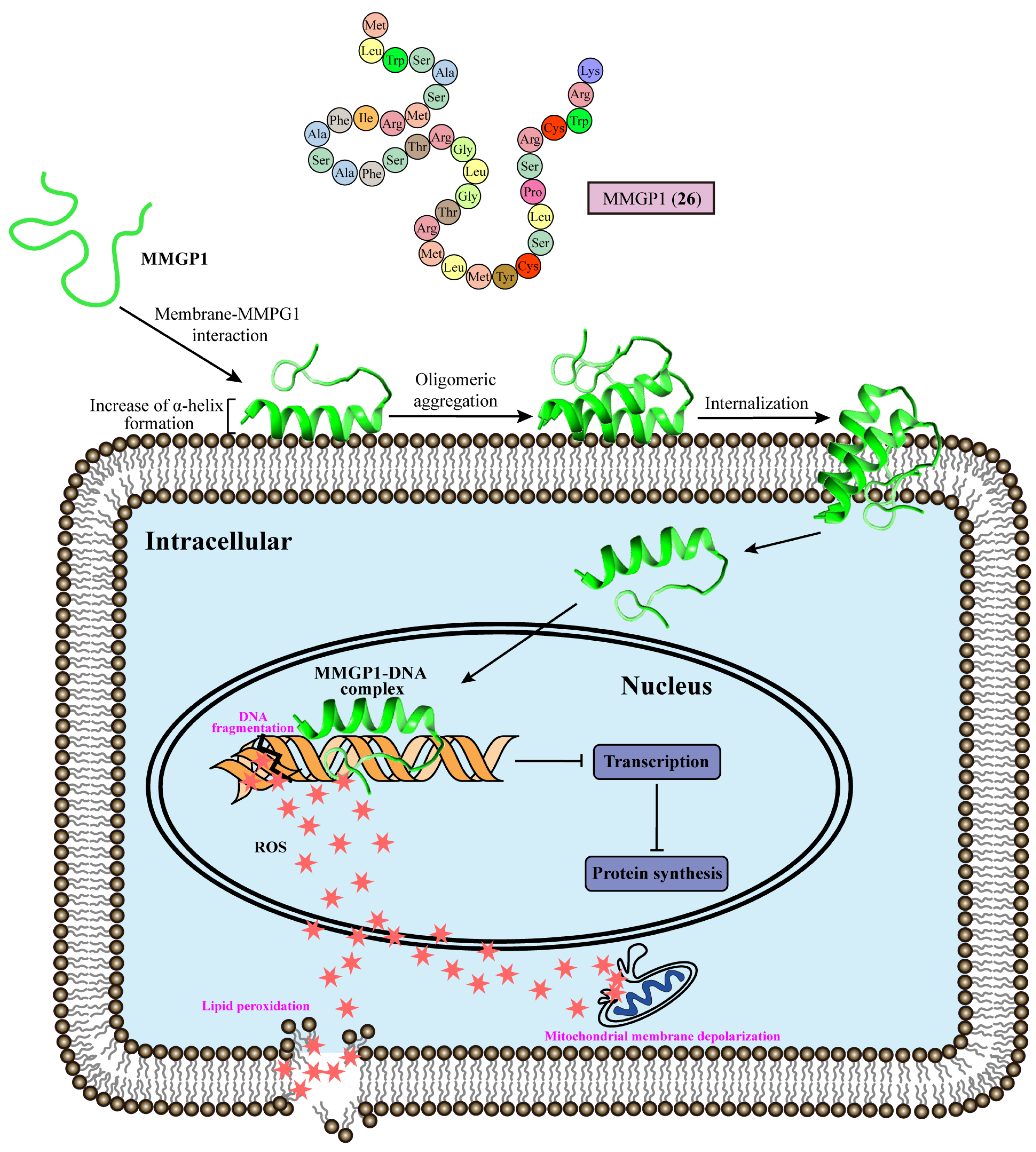 Marinedrugs 22 00180 g003