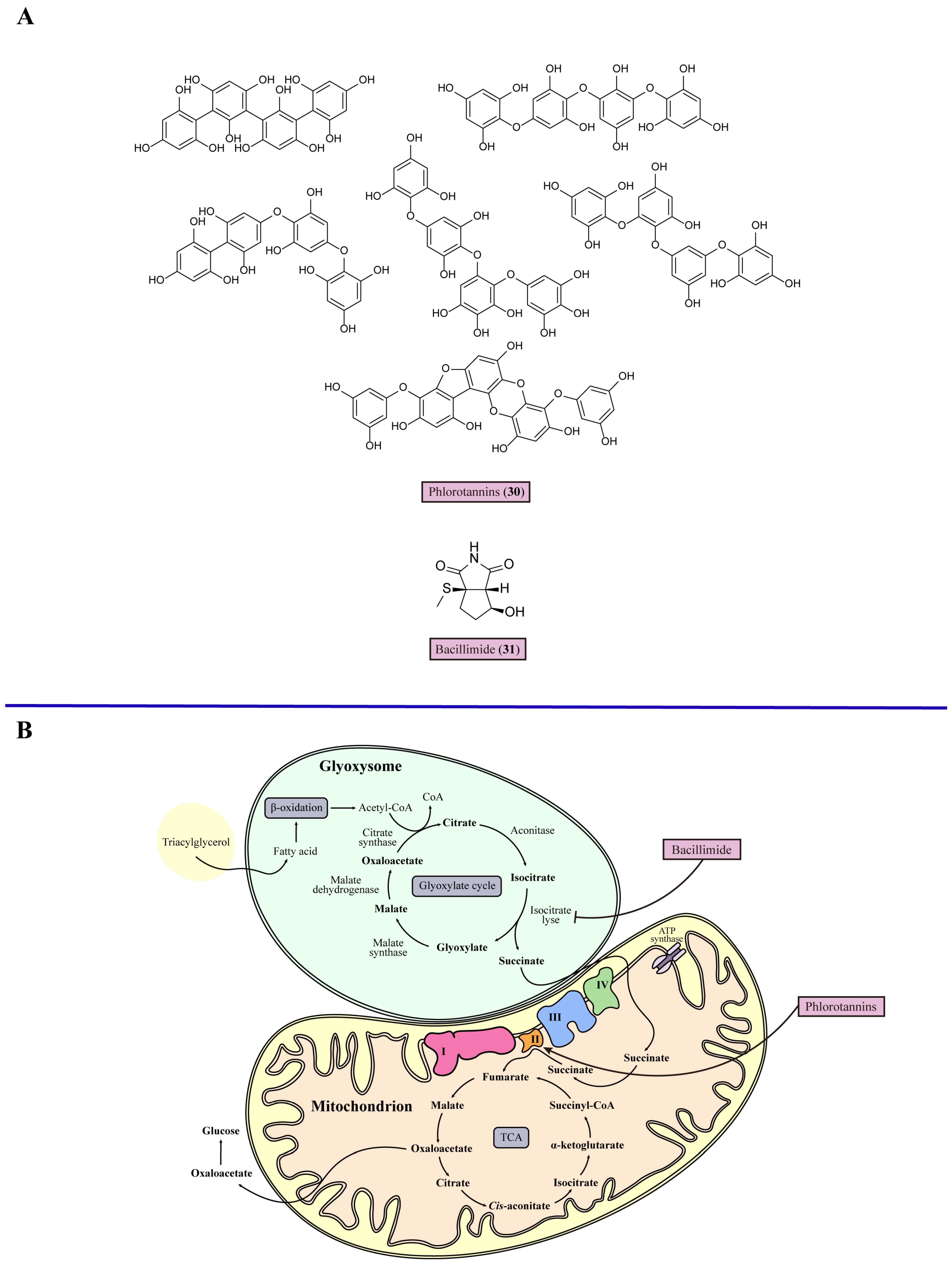 Marinedrugs 22 00180 g004