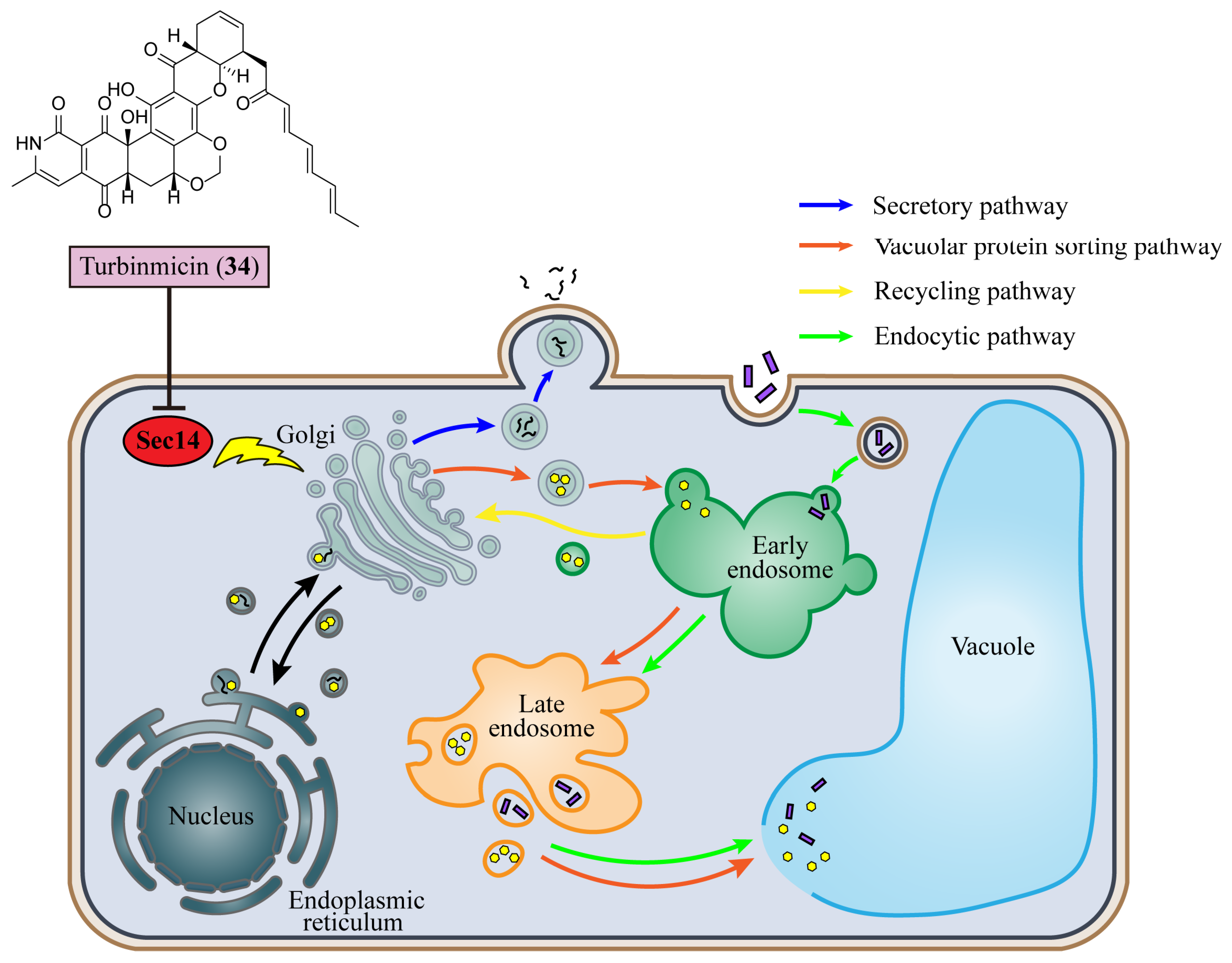 Marinedrugs 22 00180 g005