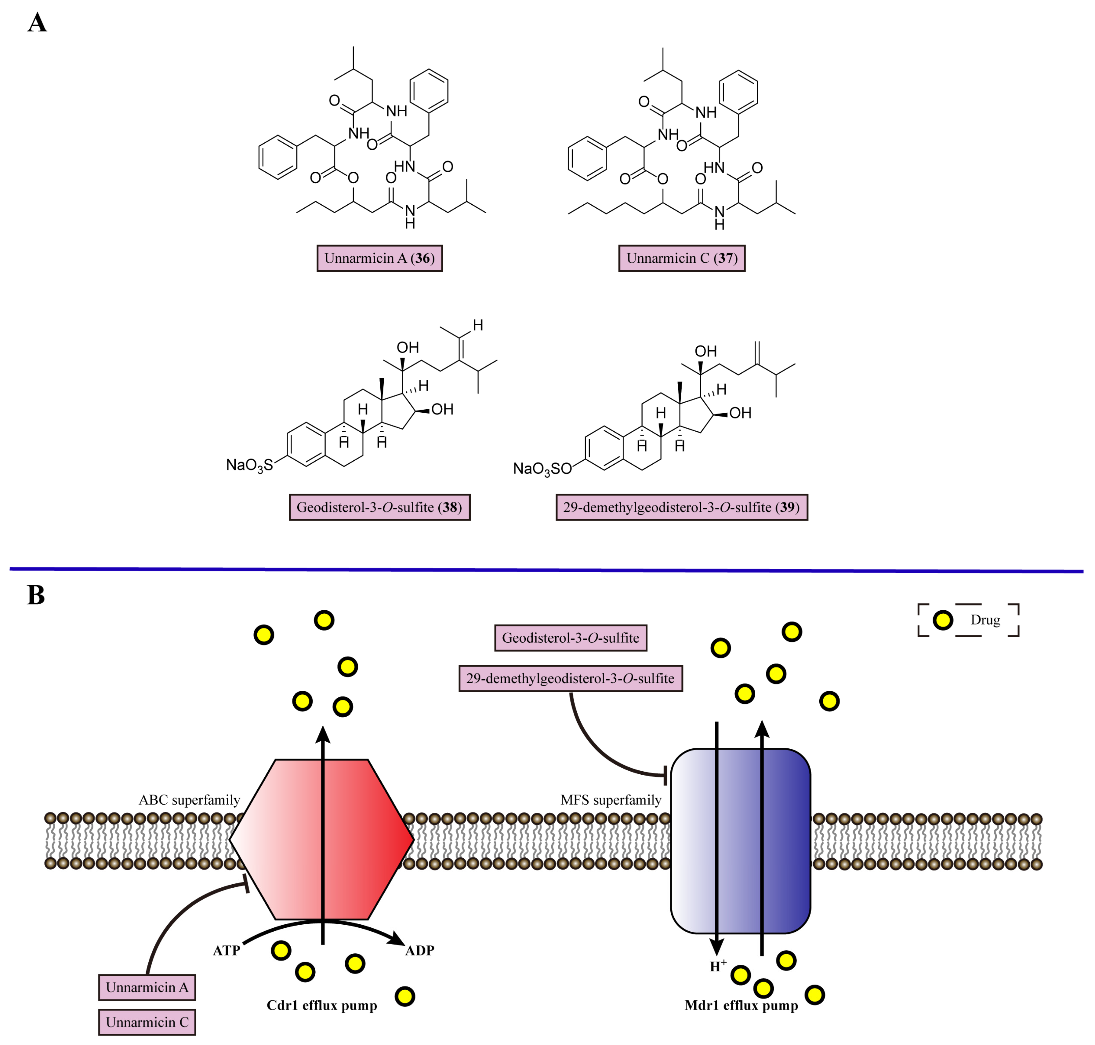 Marinedrugs 22 00180 g006