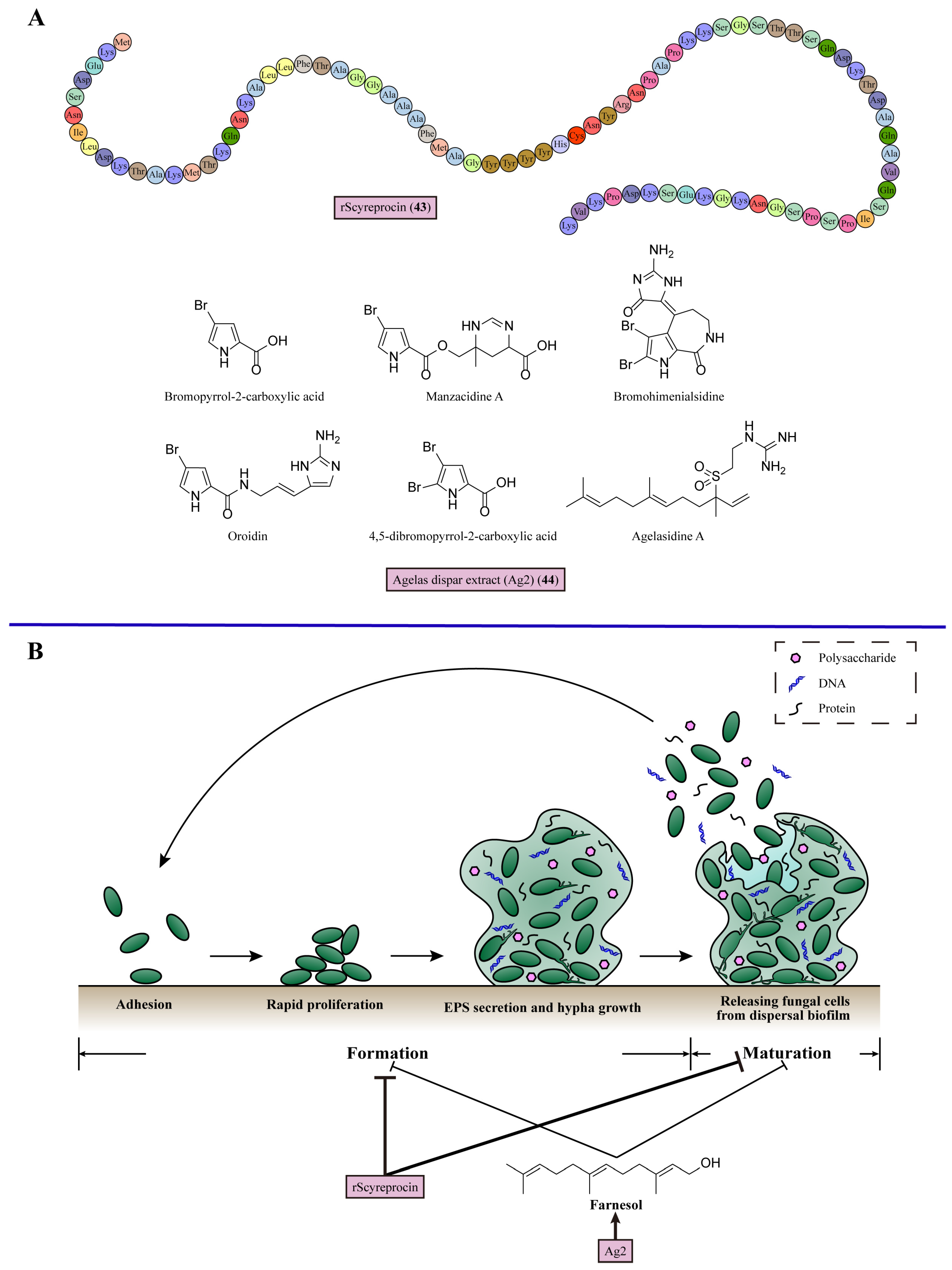 Marinedrugs 22 00180 g008