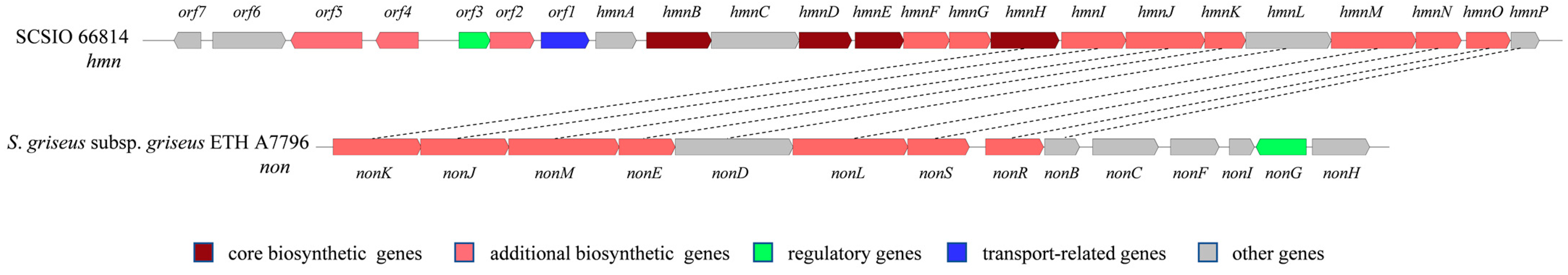 Marinedrugs 22 00181 g002 Marinedrugs 22 00181 g002