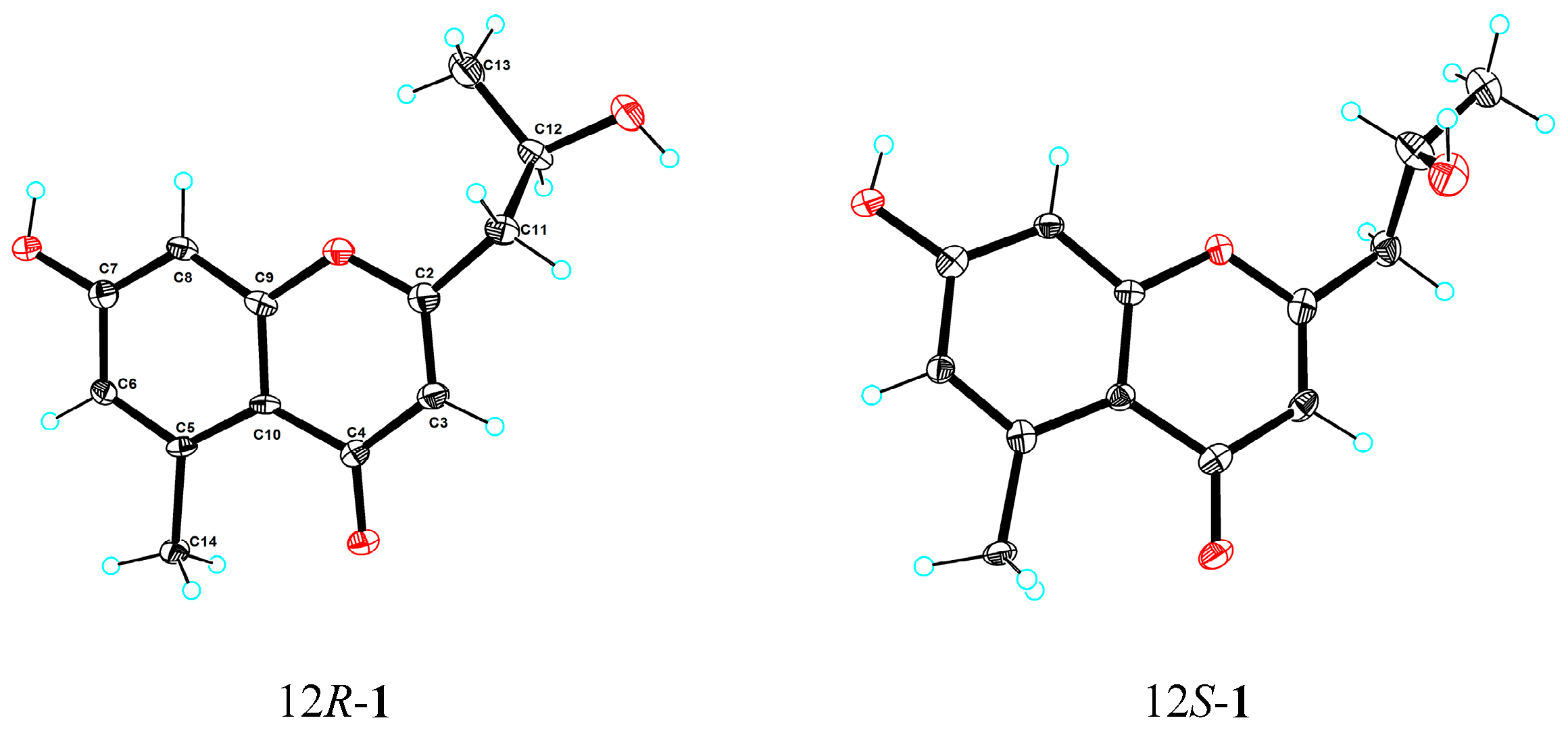 Marinedrugs 22 00181 g006 Marinedrugs 22 00181 g006