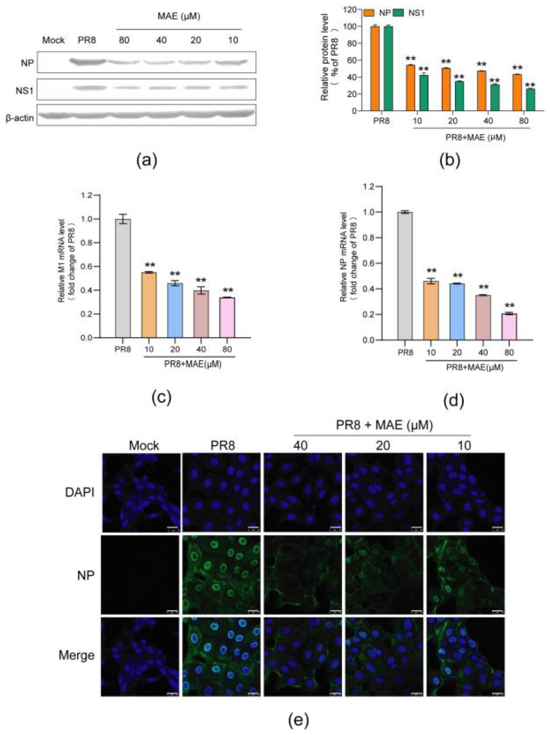 Marinedrugs 22 00190 g002