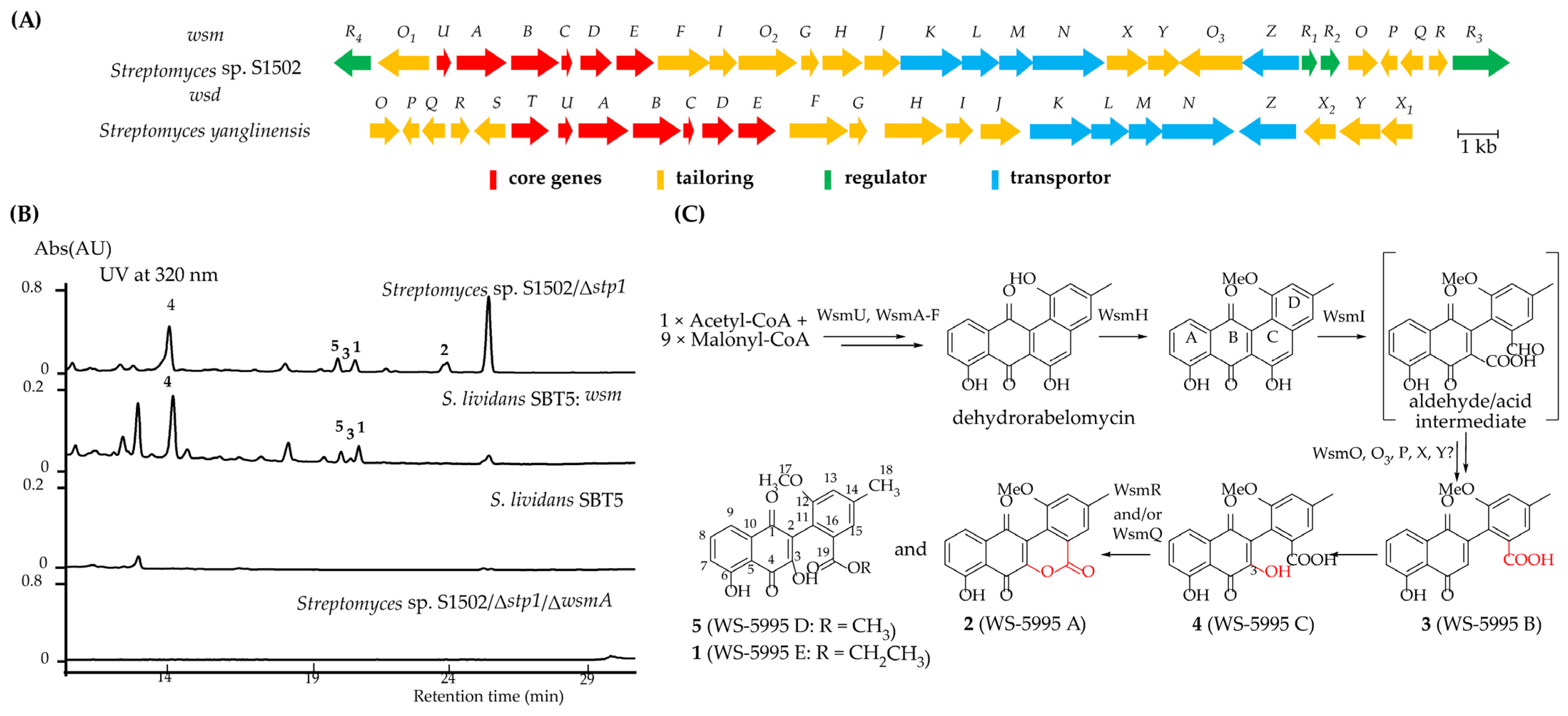 Marinedrugs 22 00195 g004 Marinedrugs 22 00195 g004