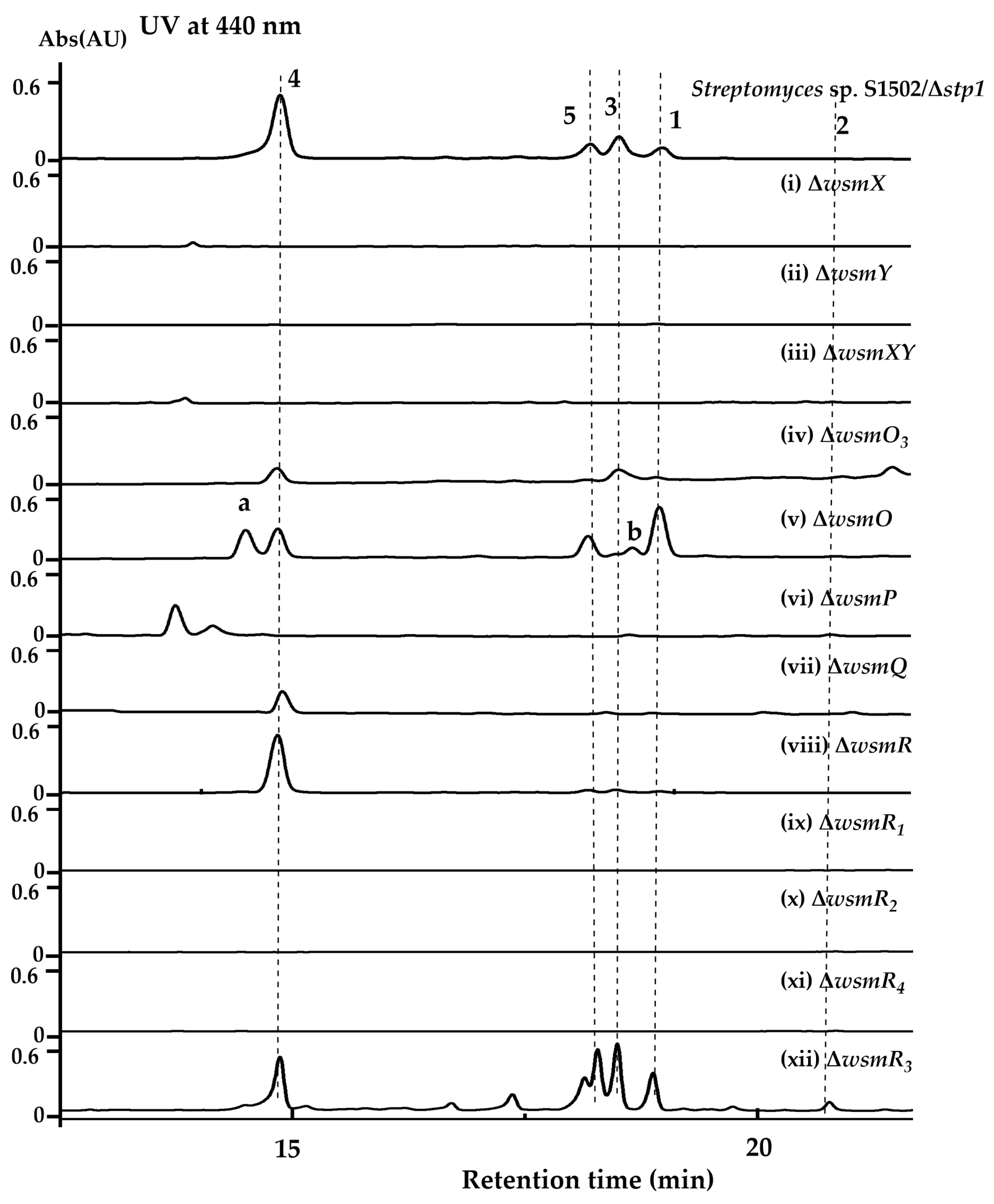 Marinedrugs 22 00195 g005 Marinedrugs 22 00195 g005