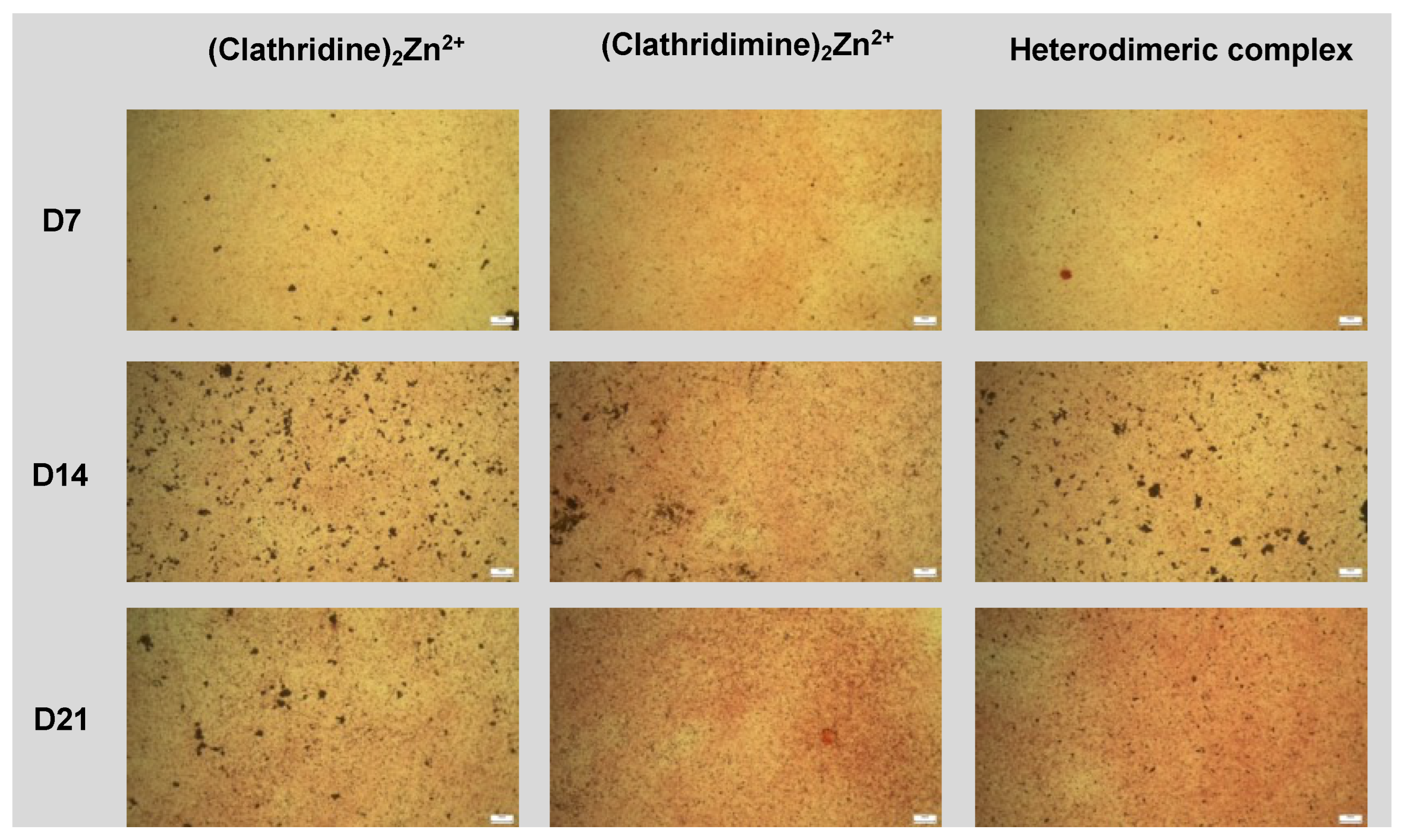 Marinedrugs 22 00196 g005