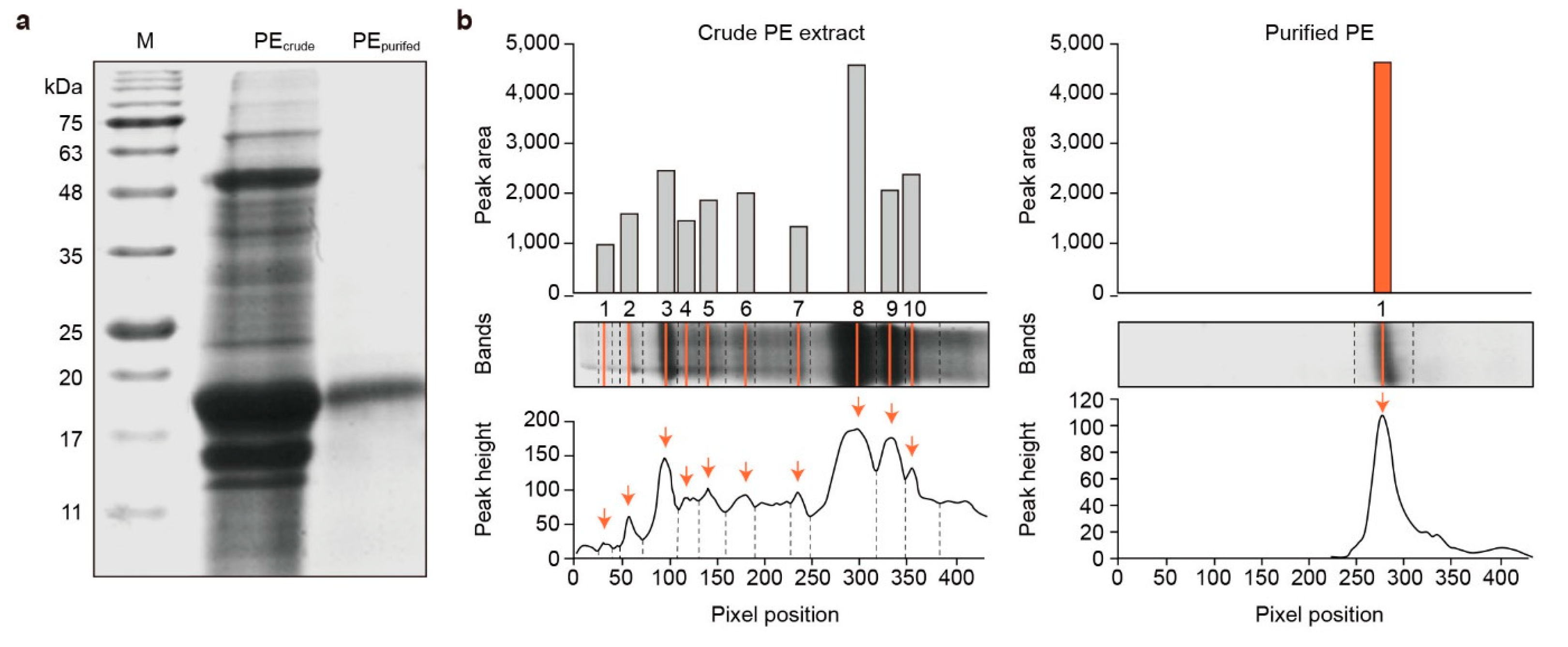 Marinedrugs 22 00197 g002