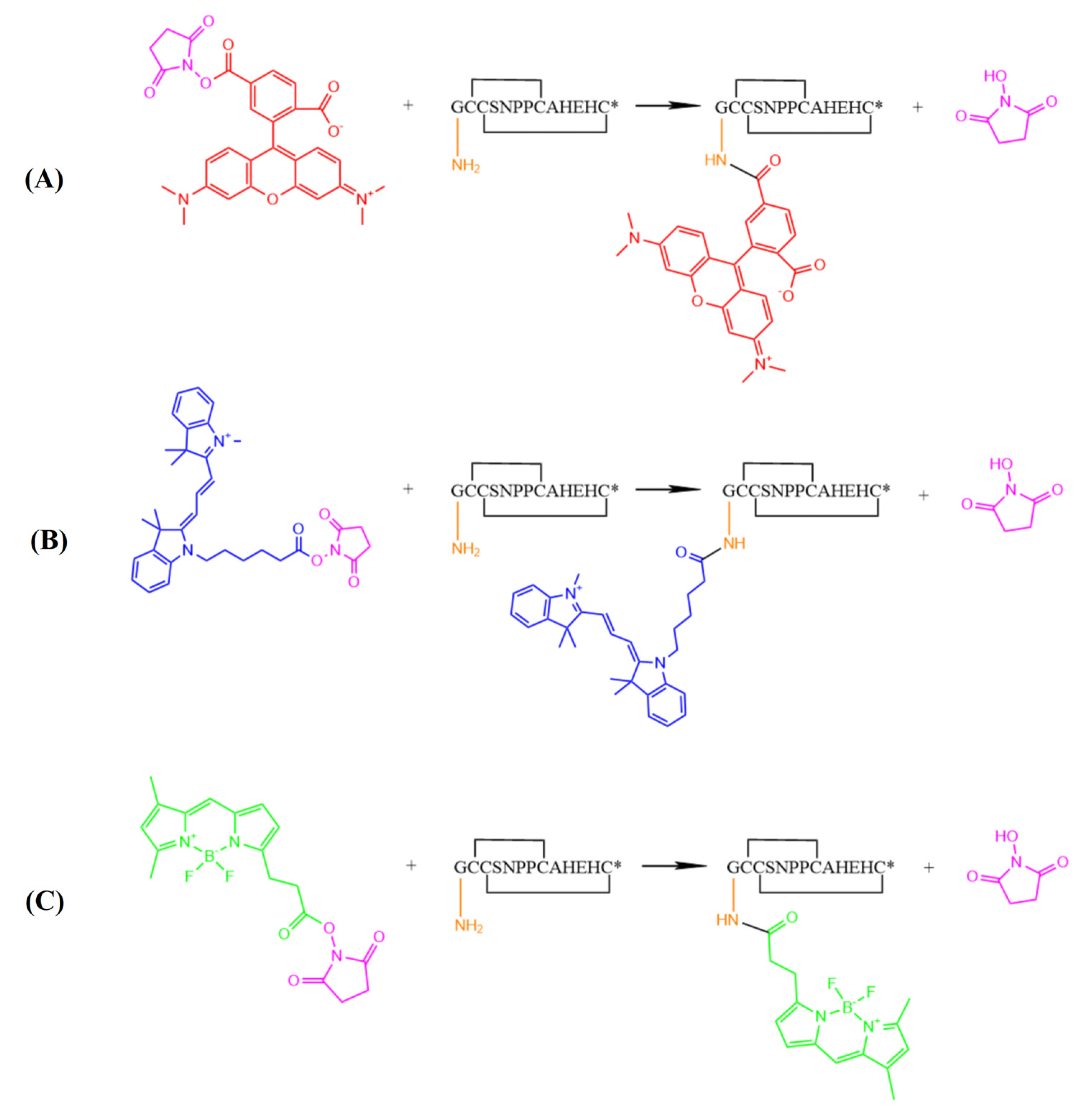 Marinedrugs 22 00200 g007