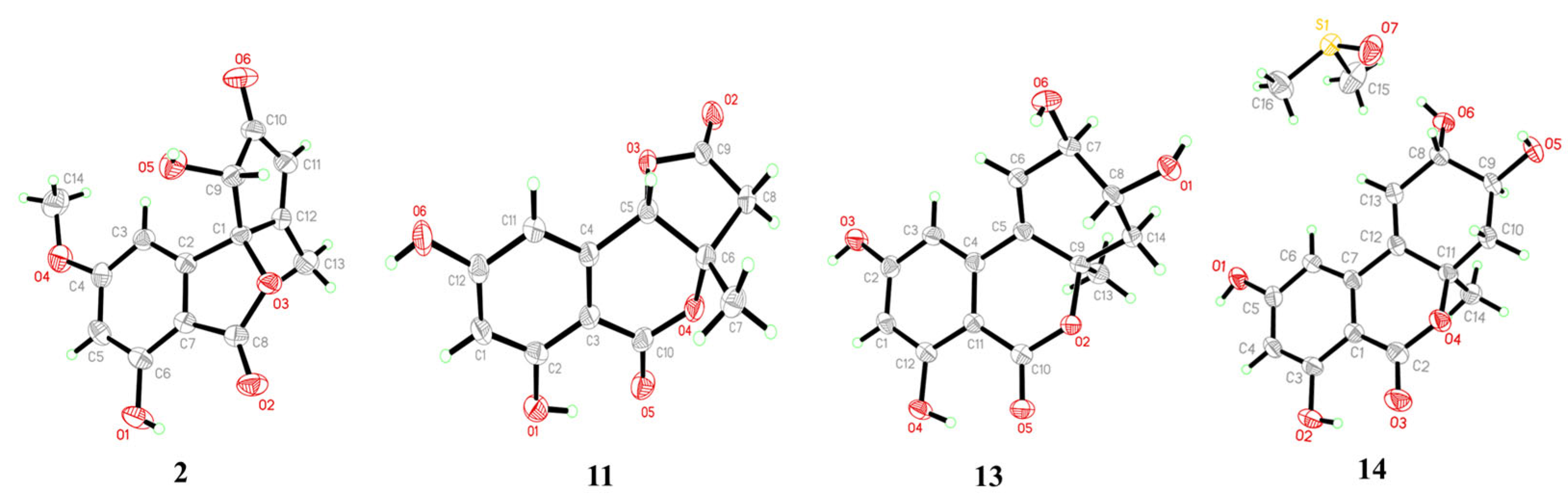 Marinedrugs 22 00204 g003 Marinedrugs 22 00204 g003