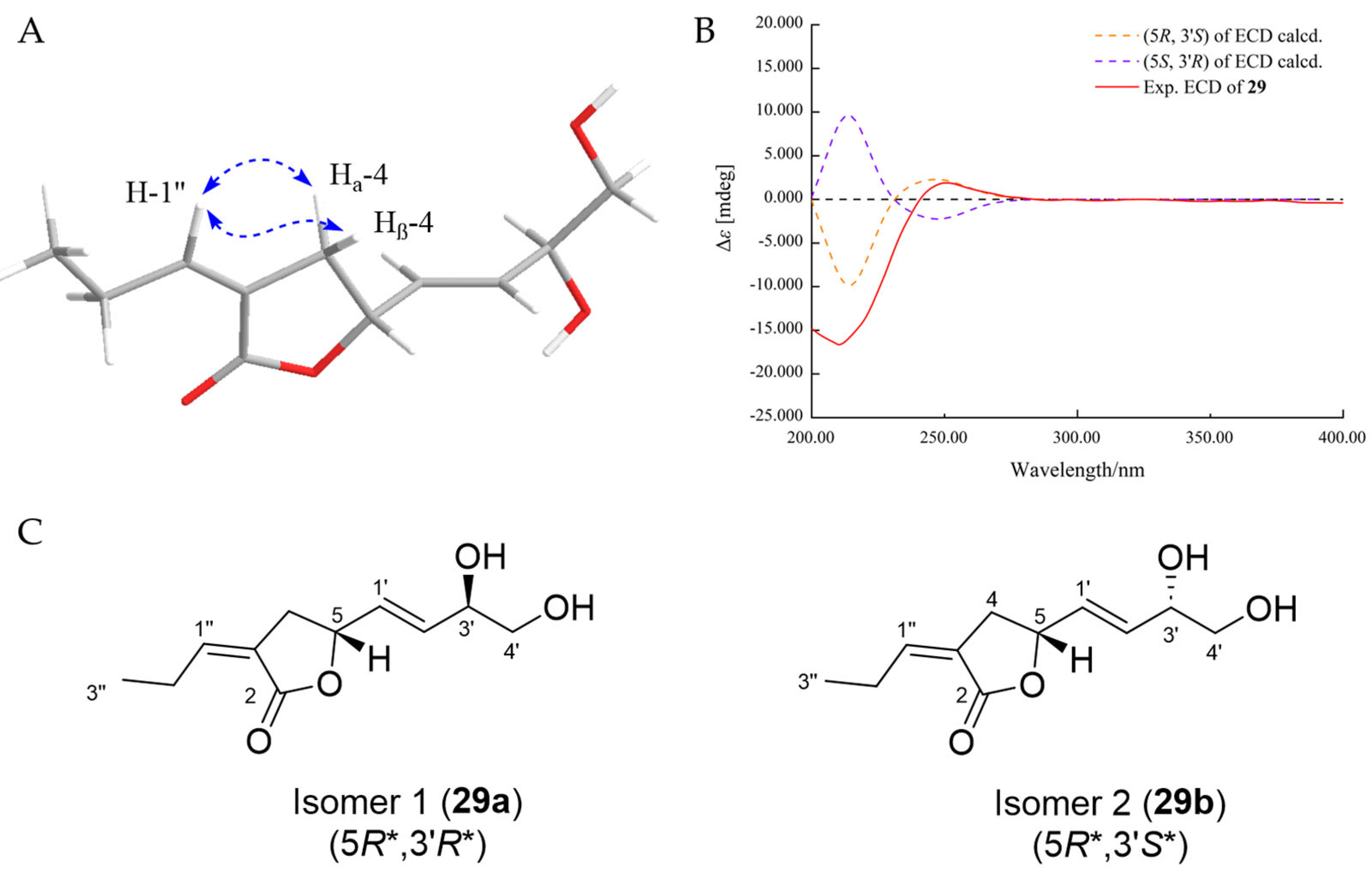 Marinedrugs 22 00204 g008 Marinedrugs 22 00204 g008