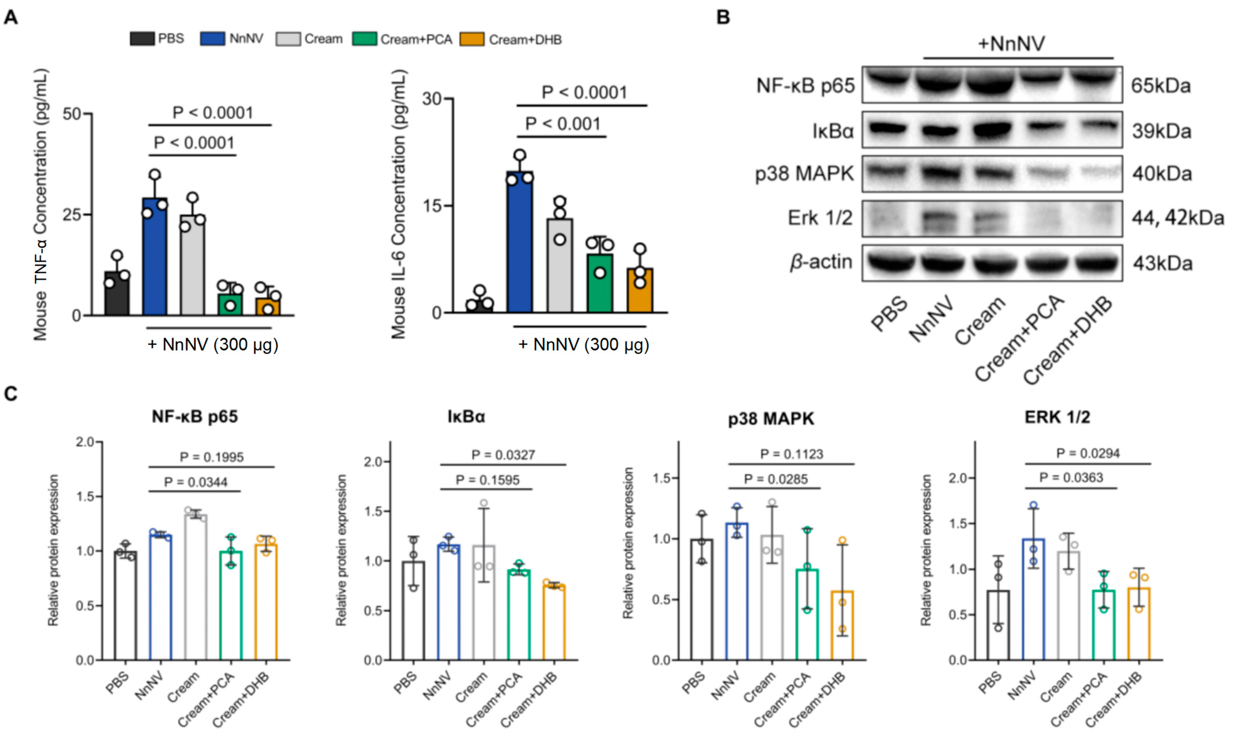 Marinedrugs 22 00205 g004
