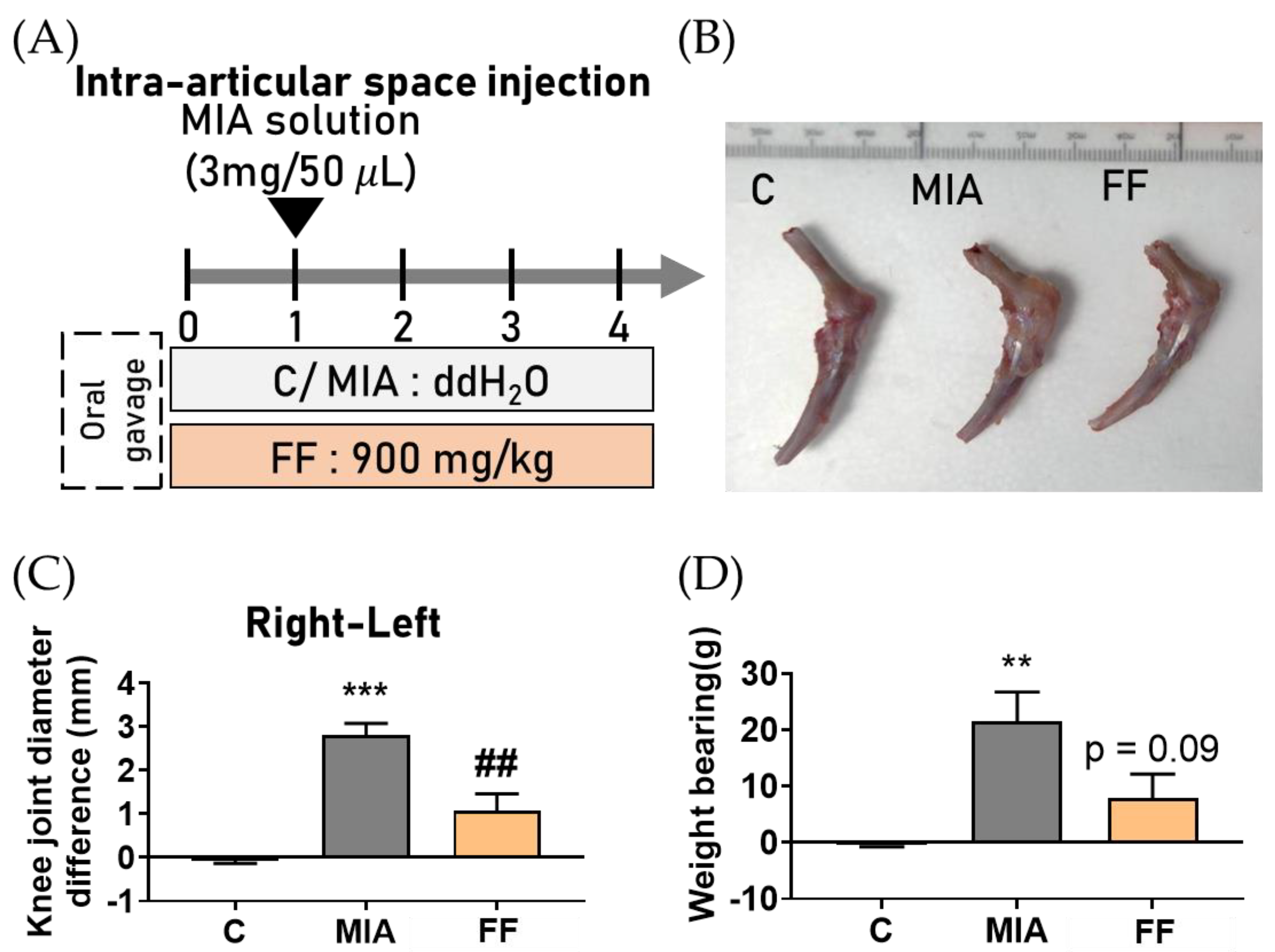 Marinedrugs 22 00211 g002