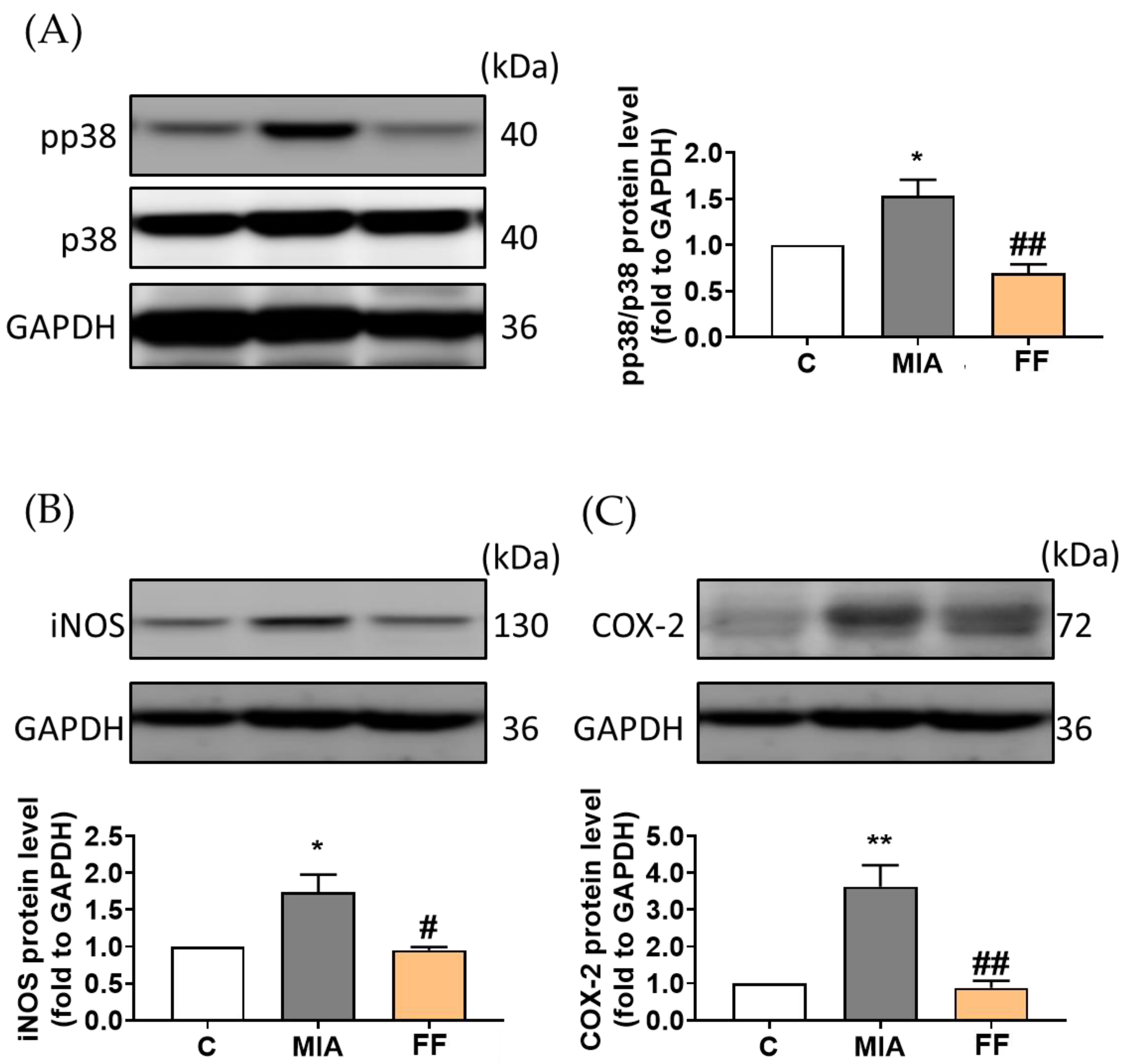 Marinedrugs 22 00211 g006