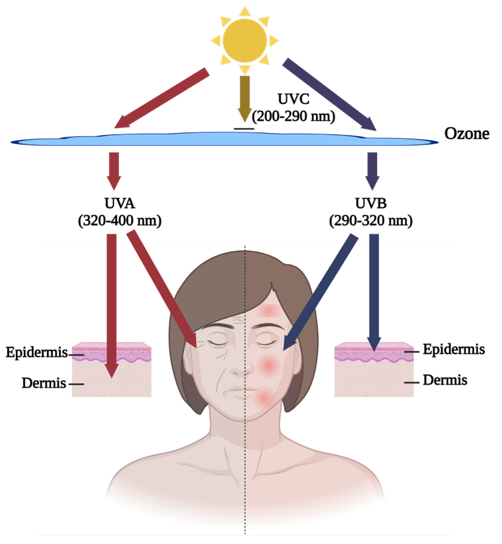 Marinedrugs 22 00215 g001