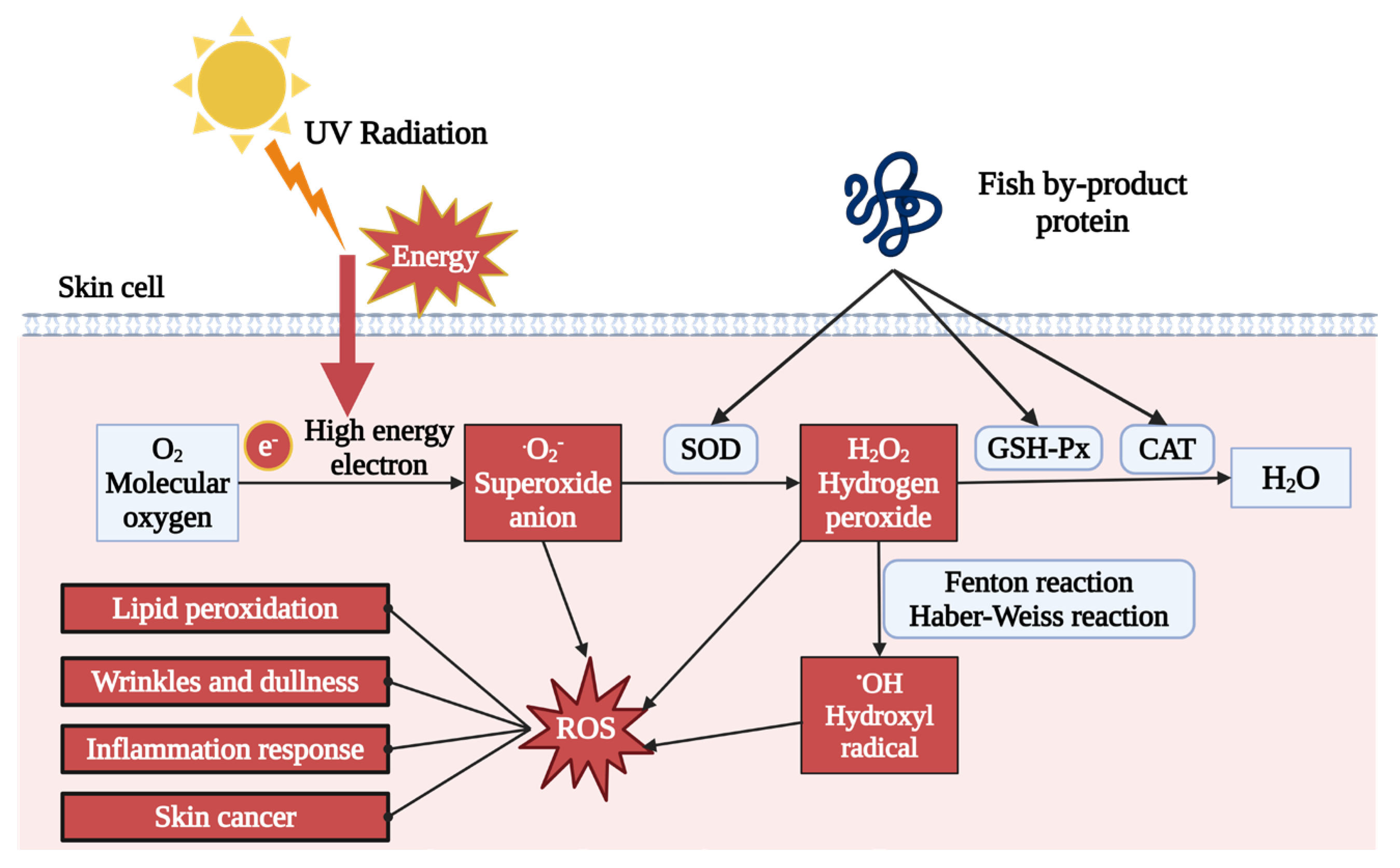 Marinedrugs 22 00215 g002