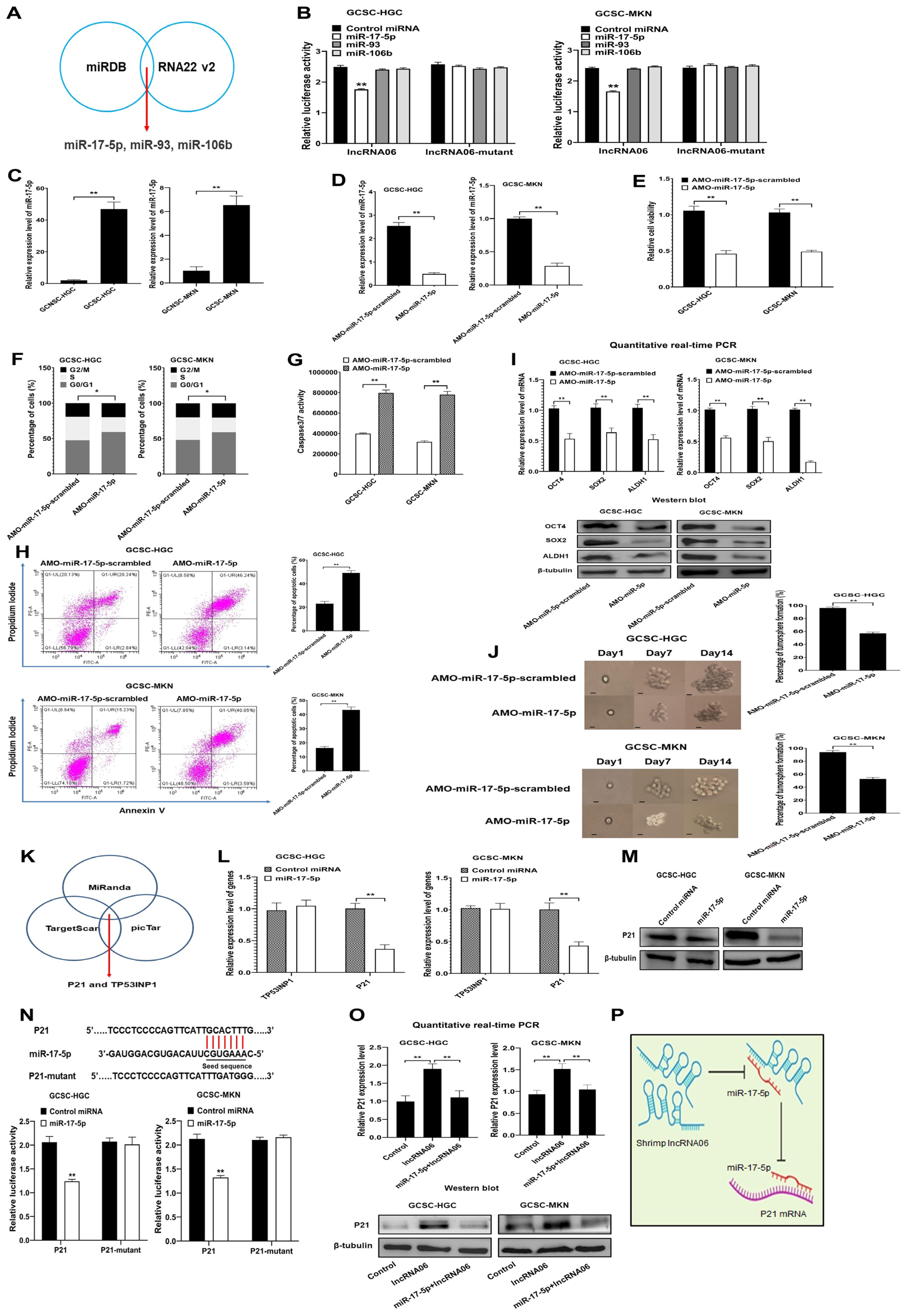 Marinedrugs 22 00221 g003