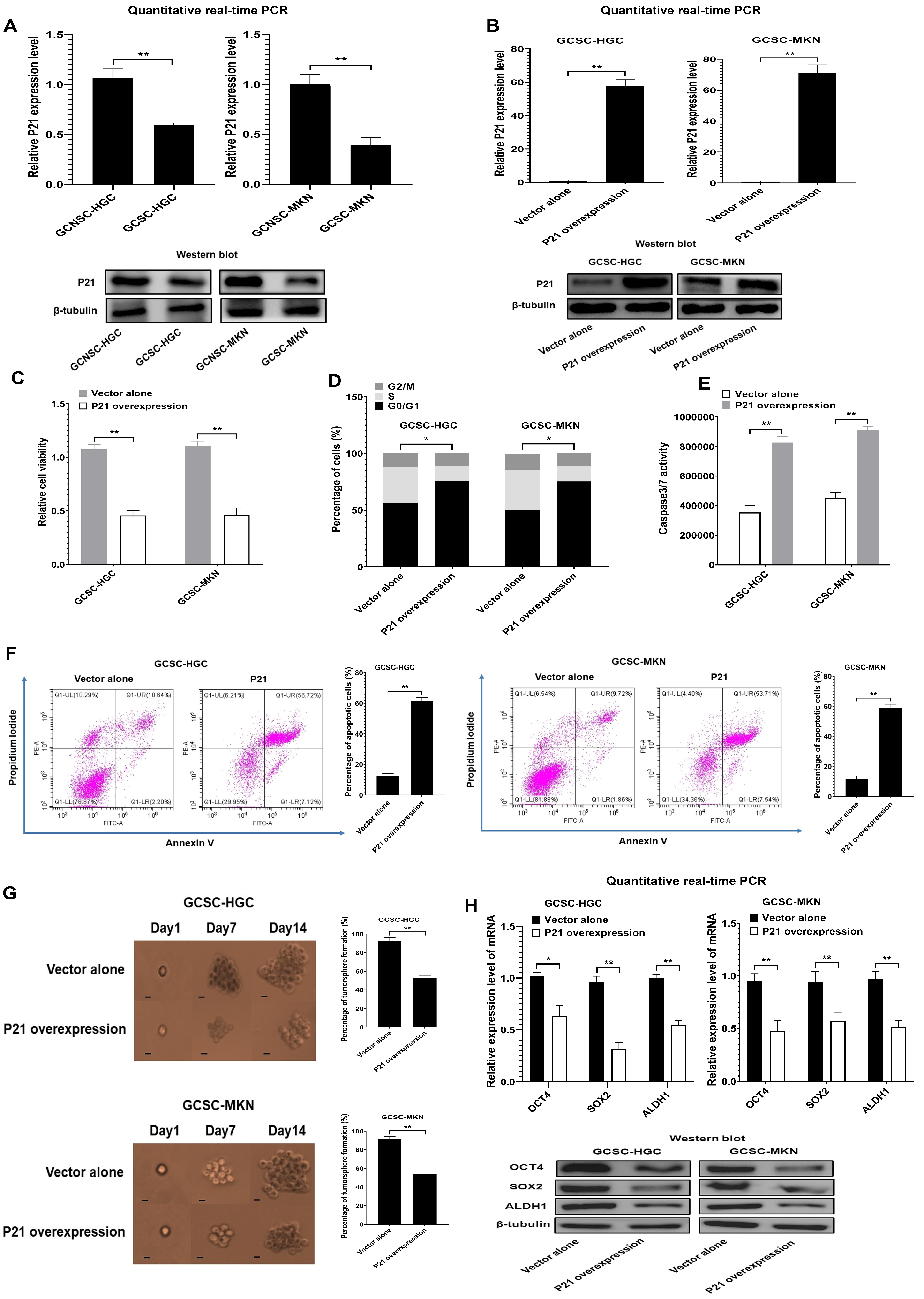 Marinedrugs 22 00221 g004