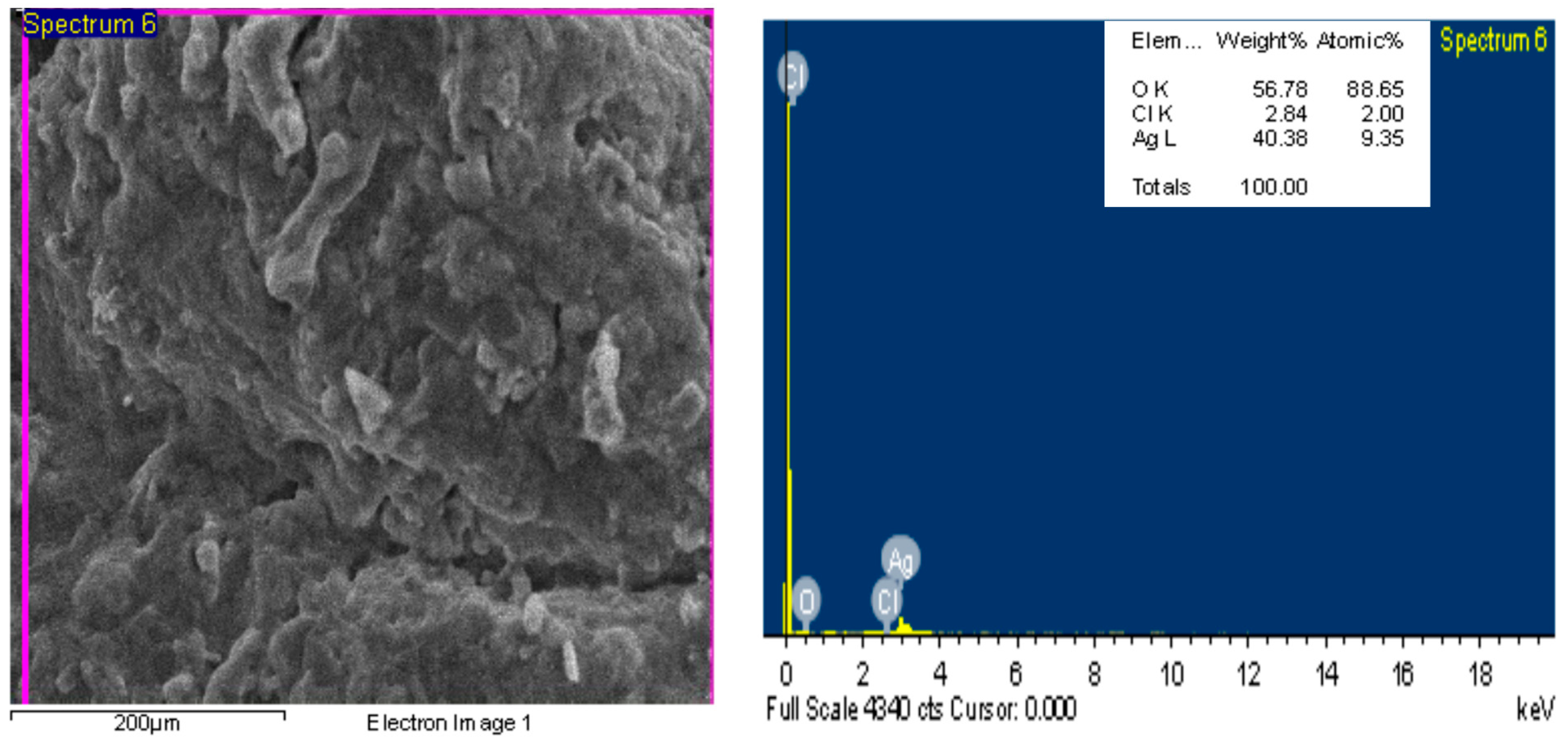 Marinedrugs 22 00225 g004