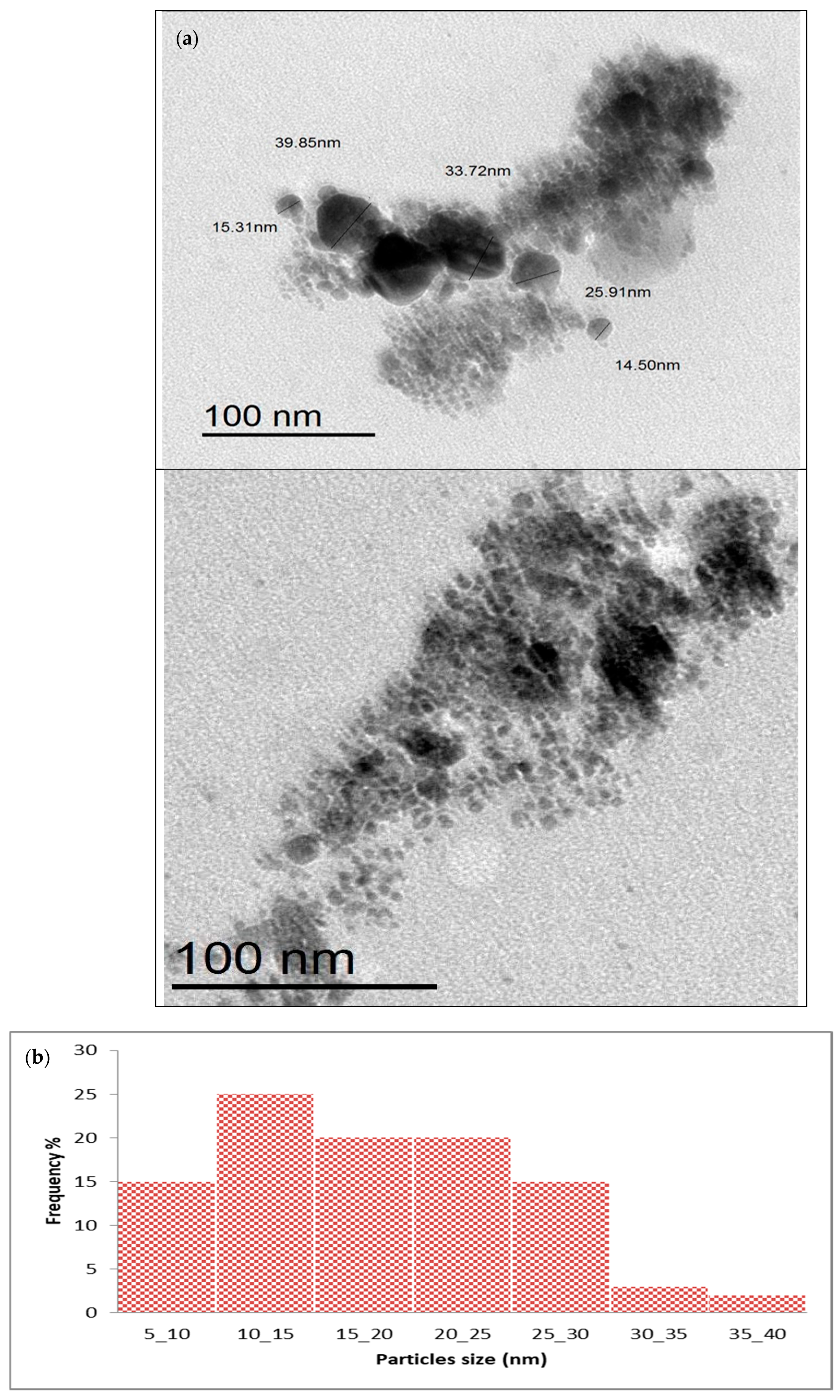 Marinedrugs 22 00225 g006