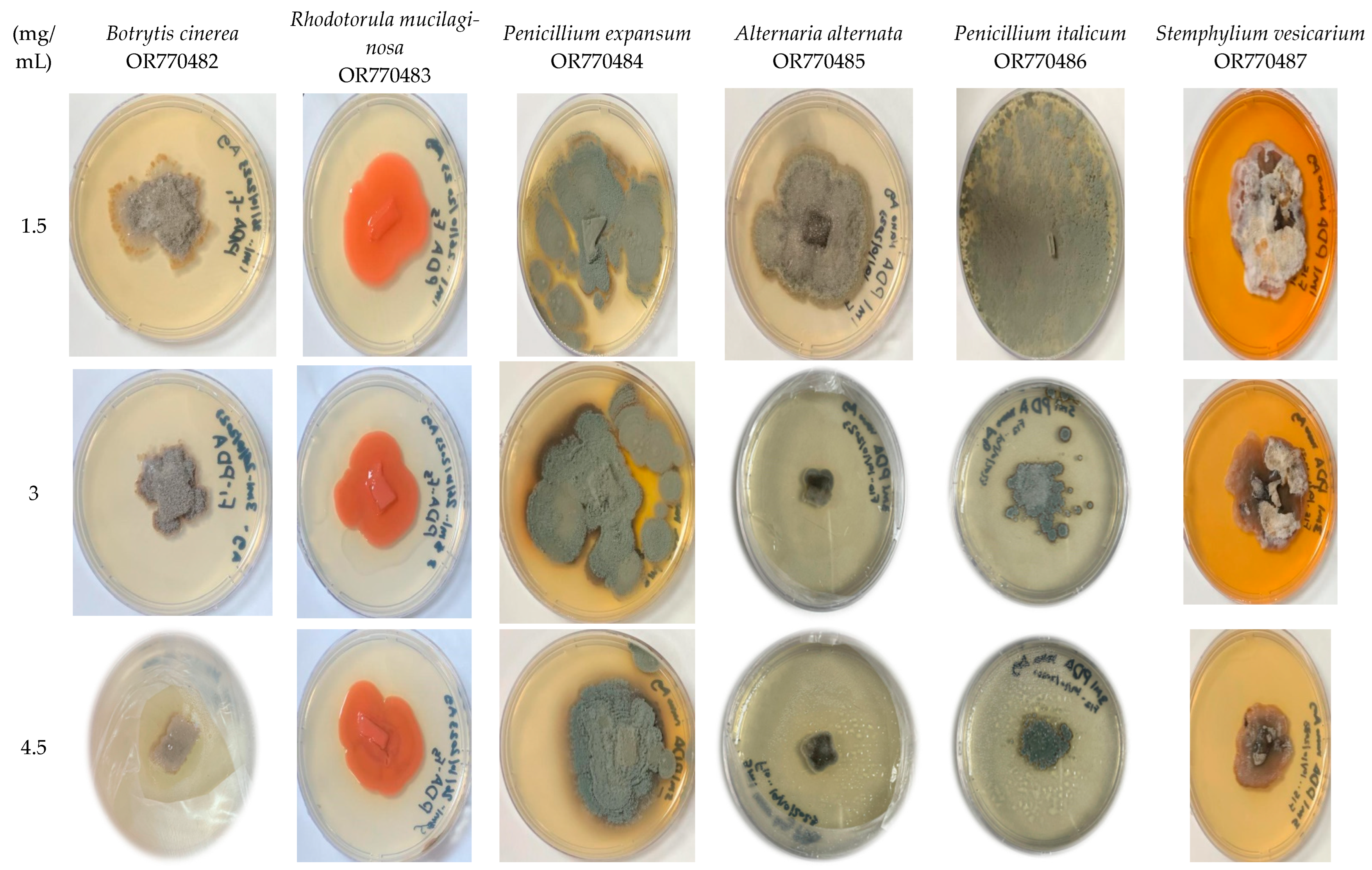 Marinedrugs 22 00225 g008