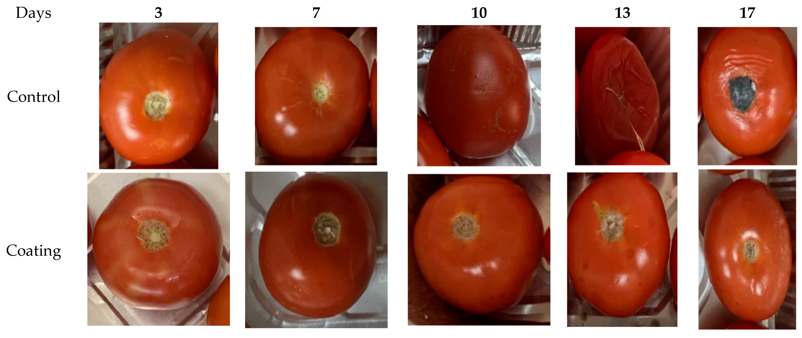 Marinedrugs 22 00225 g014a