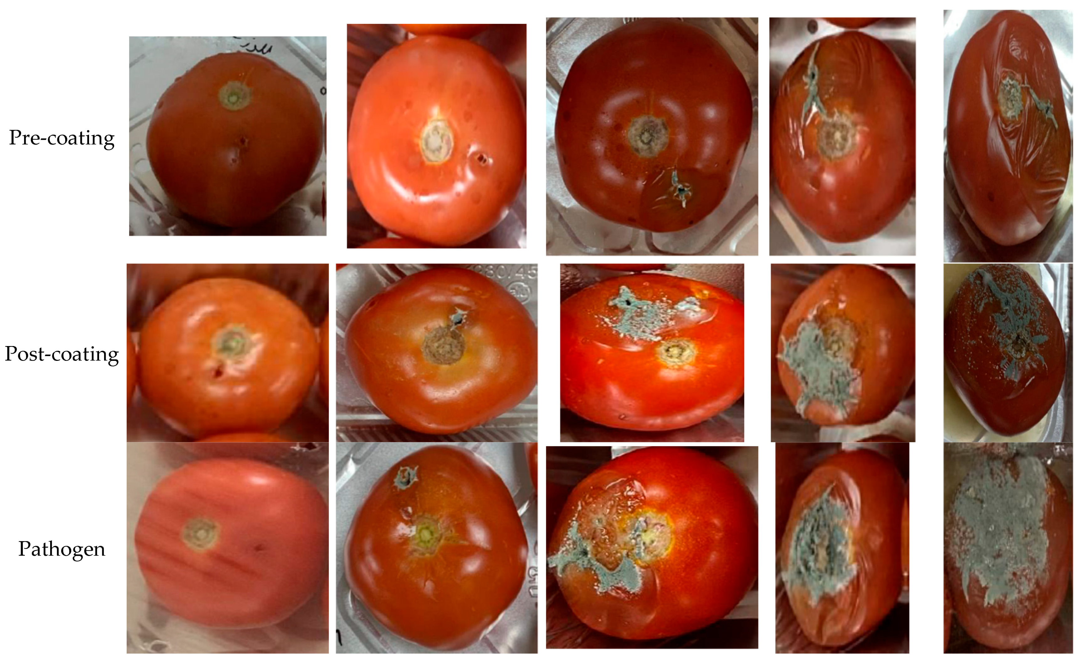 Marinedrugs 22 00225 g014b