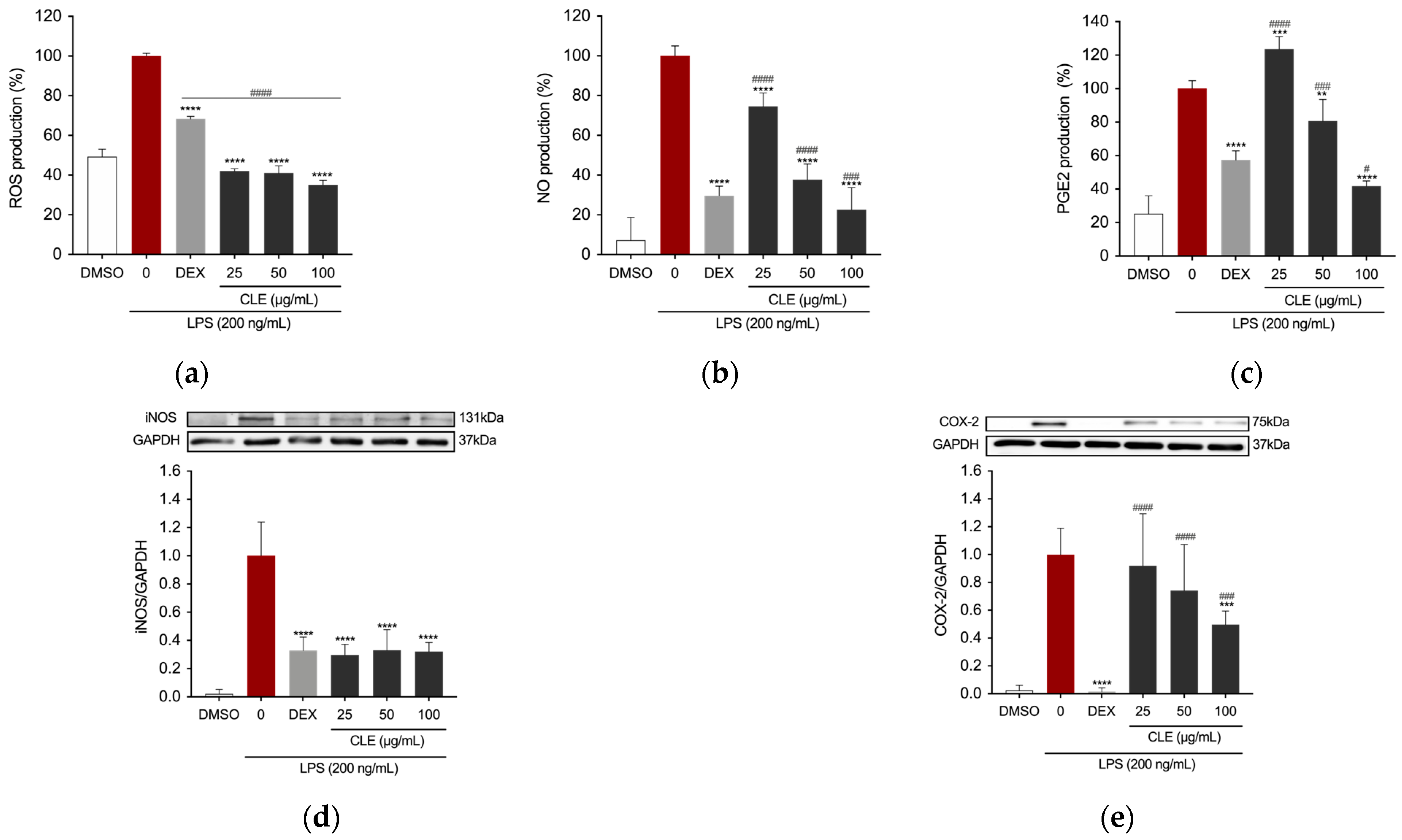 Marinedrugs 22 00226 g003 Marinedrugs 22 00226 g003