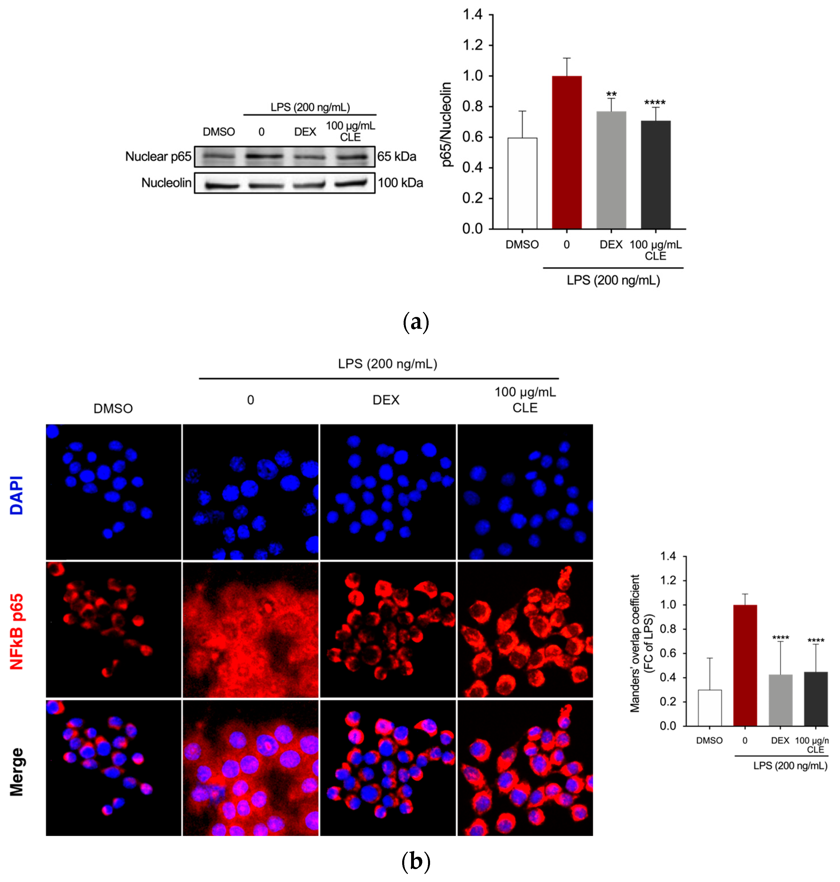 Marinedrugs 22 00226 g004 Marinedrugs 22 00226 g004