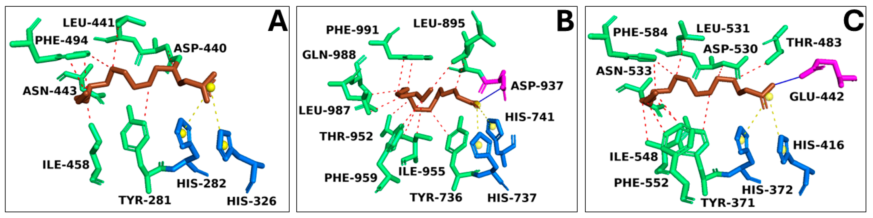 Marinedrugs 22 00226 g007 Marinedrugs 22 00226 g007