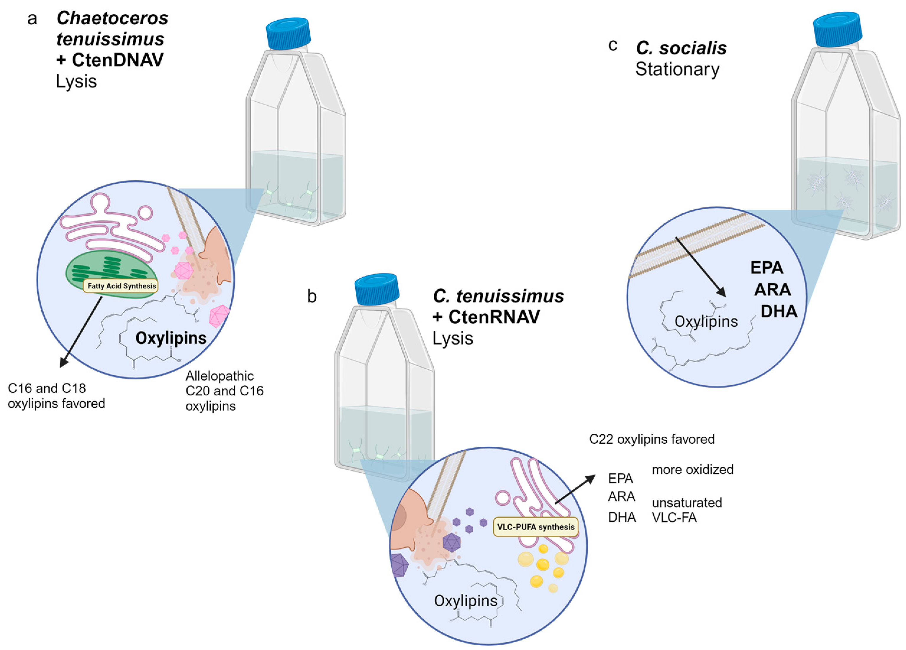 Marinedrugs 22 00228 g009